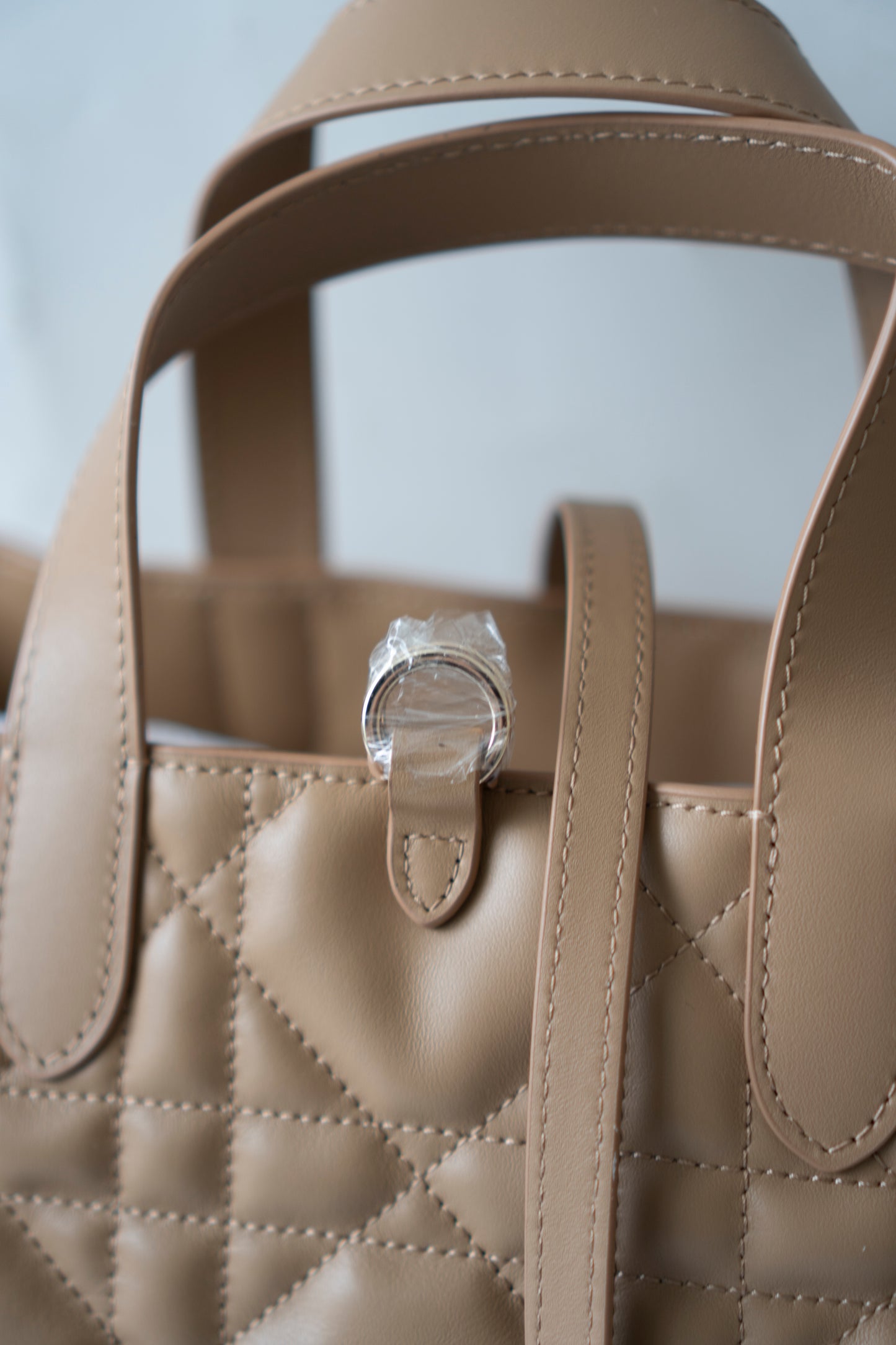 Toujours Vertical Tote – Medium Tan