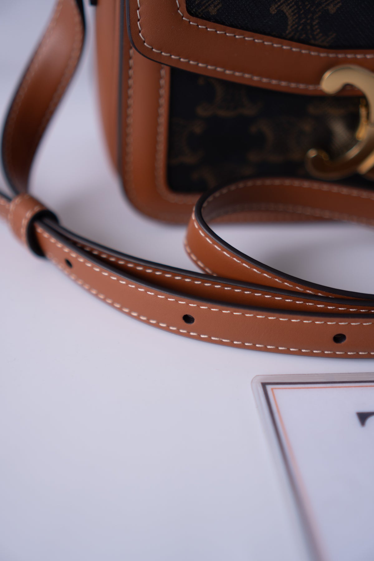 Triomphe Teen Bag – Triomphe Monogram Canvas & Leather