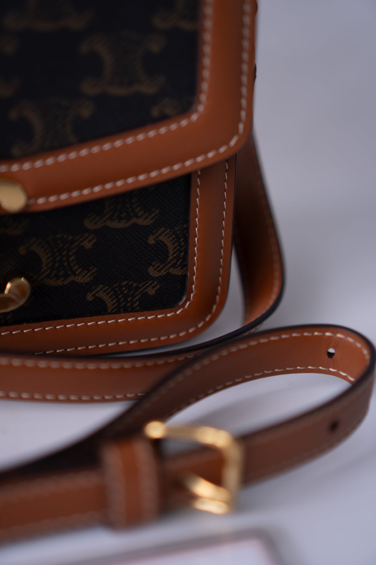 Triomphe Teen Bag – Triomphe Monogram Canvas & Leather