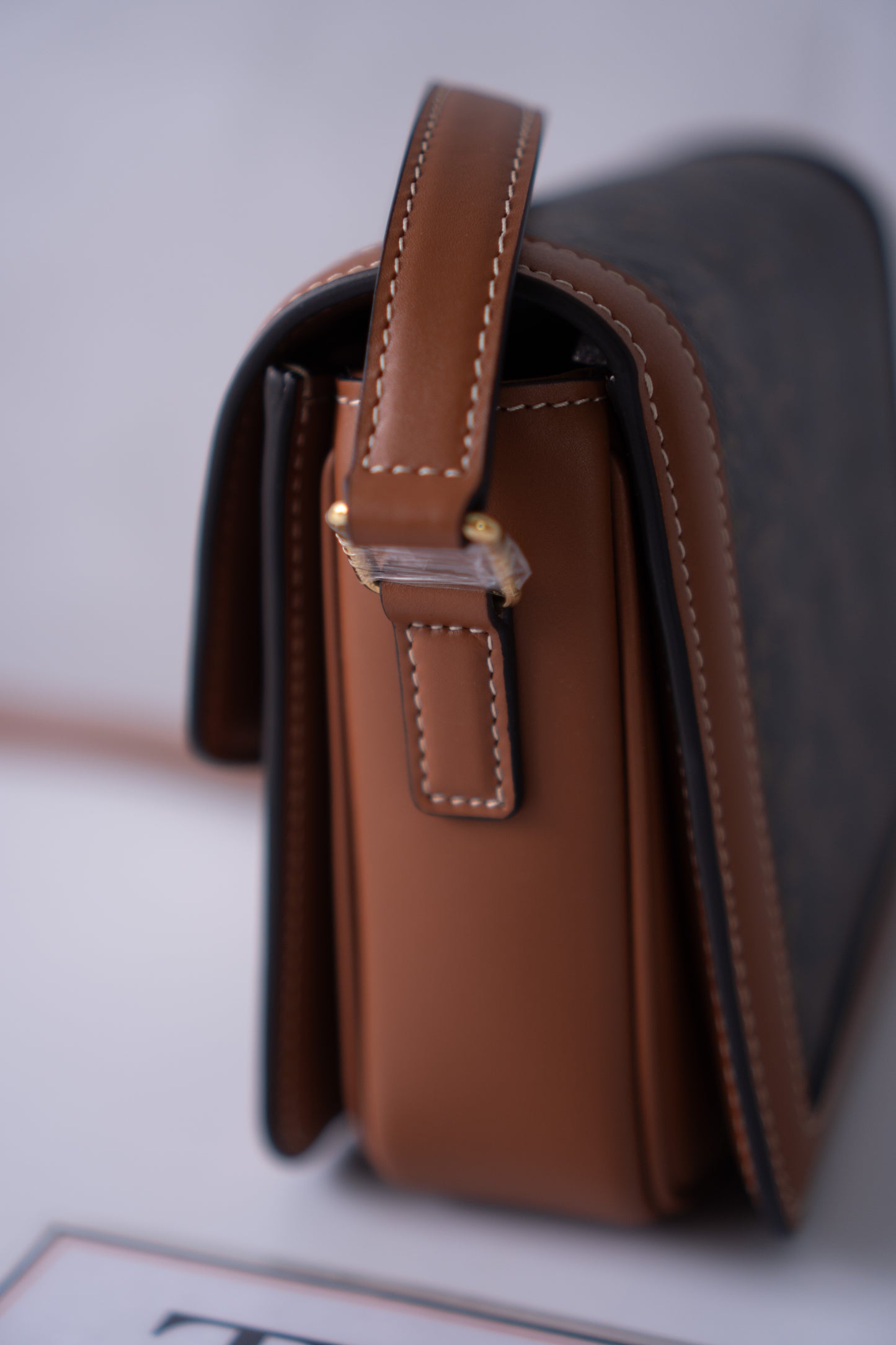 Triomphe Teen Bag – Triomphe Monogram Canvas & Leather