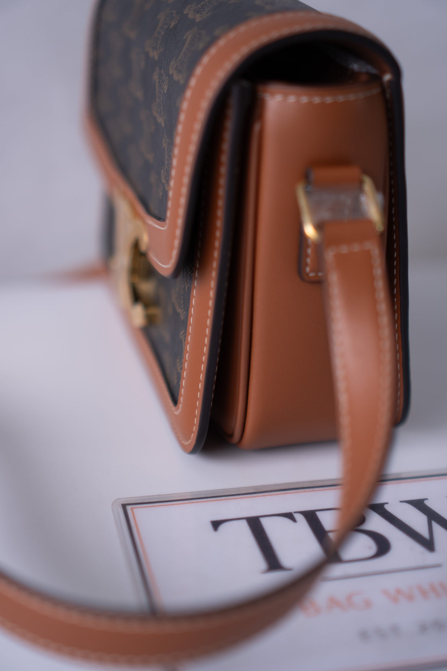 Triomphe Teen Bag – Triomphe Monogram Canvas & Leather