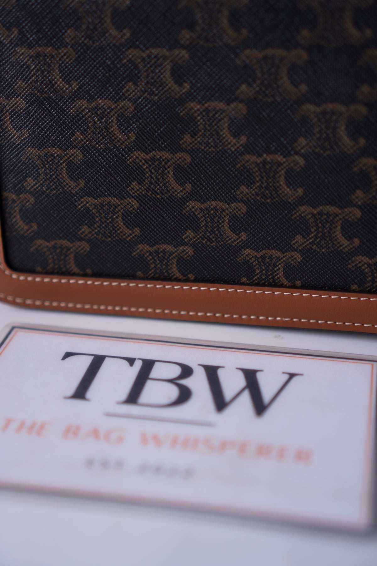 Triomphe Teen Bag – Triomphe Monogram Canvas & Leather