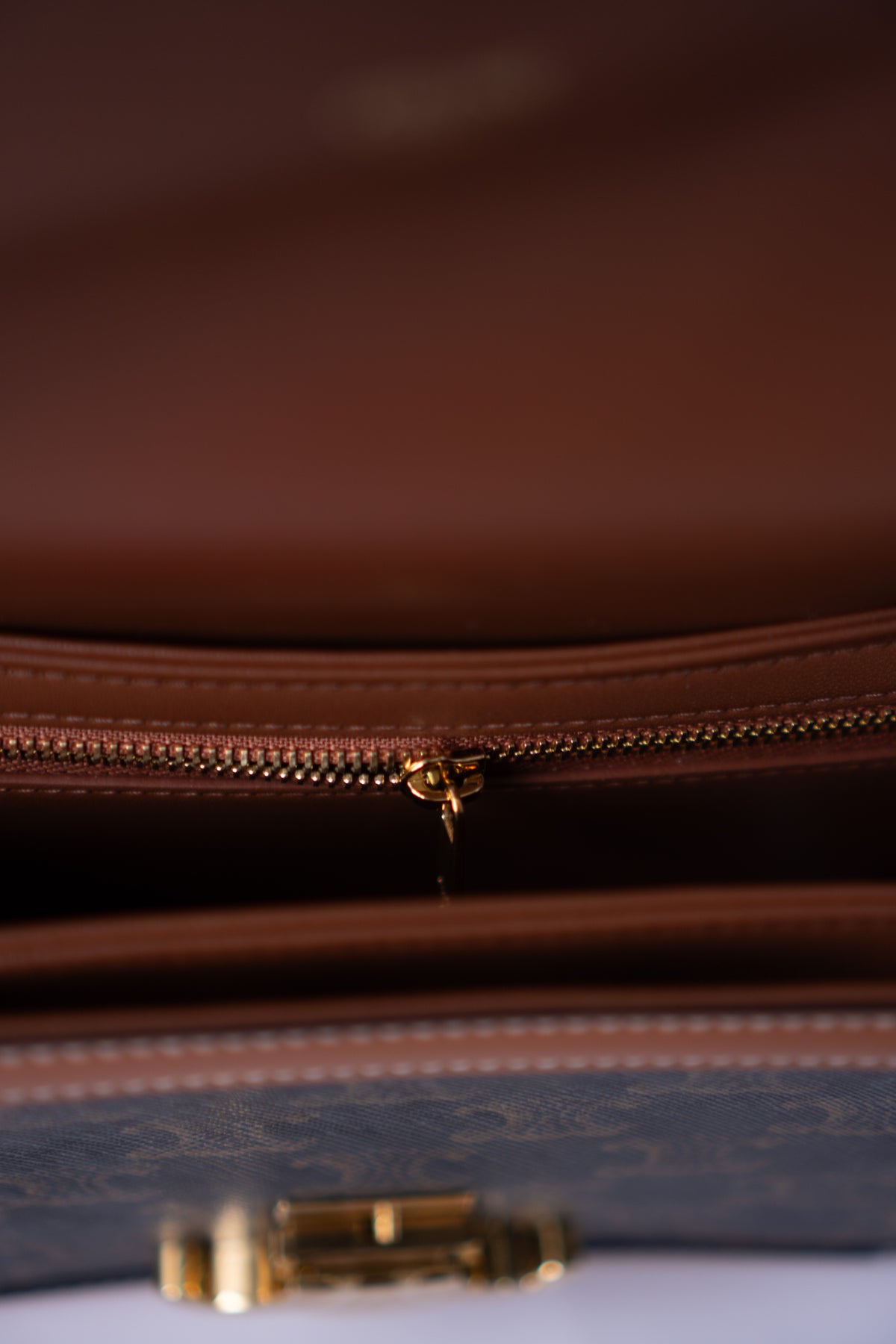 Triomphe Teen Bag – Triomphe Monogram Canvas & Leather
