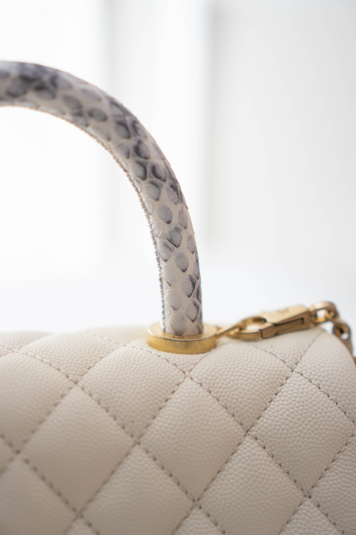 Small Coco Handle in Pearl Caviar Leather & Elaphe Snake Skin with Gold Hardware