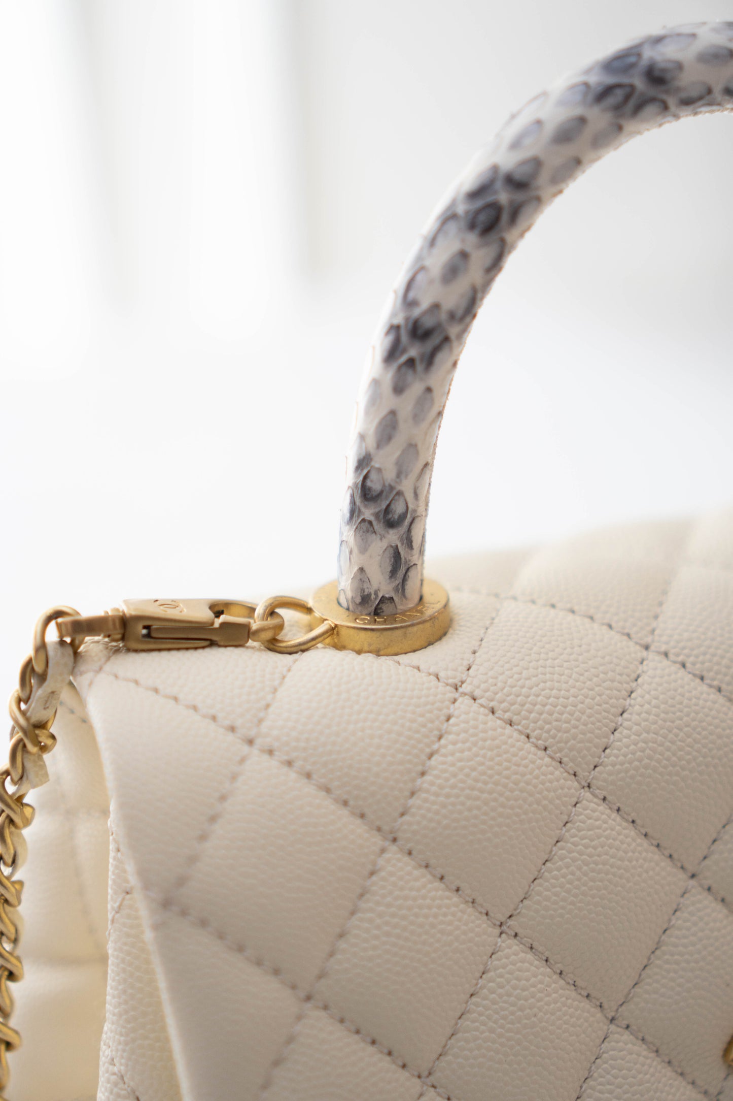 Coco Handle in Ivory or Cream Caviar Leather