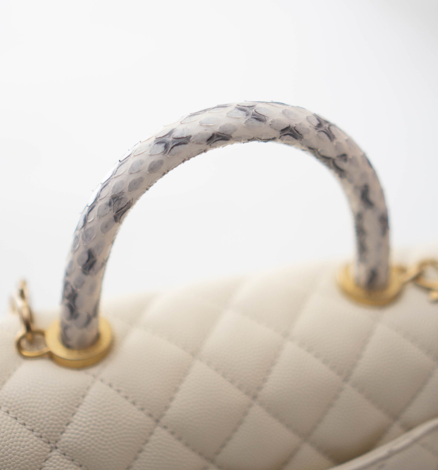Small Coco Handle in Pearl Caviar Leather & Elaphe Snake Skin with Gold Hardware