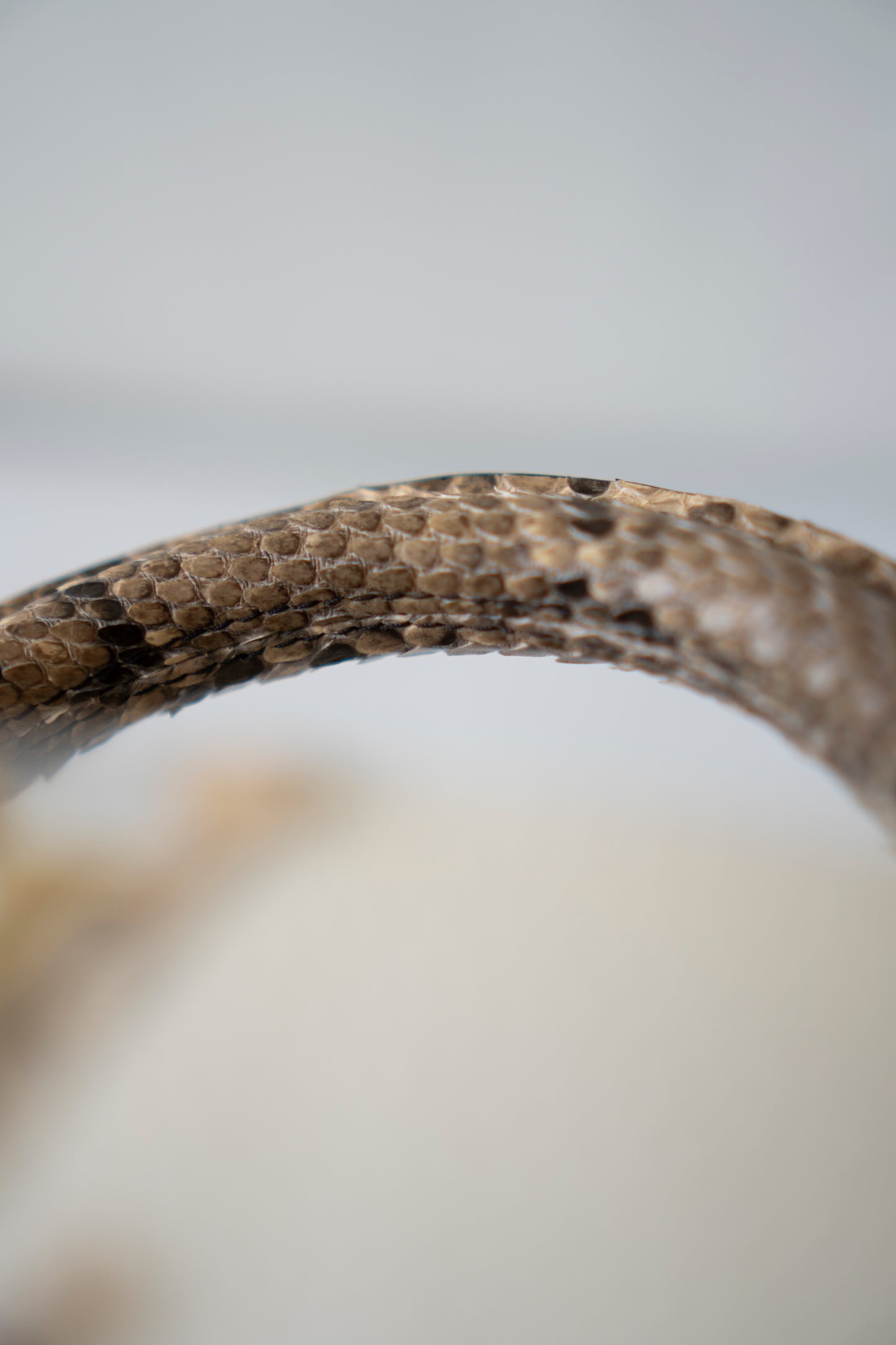 Capucines Mini – White Taurillon with Snakeskin Handle