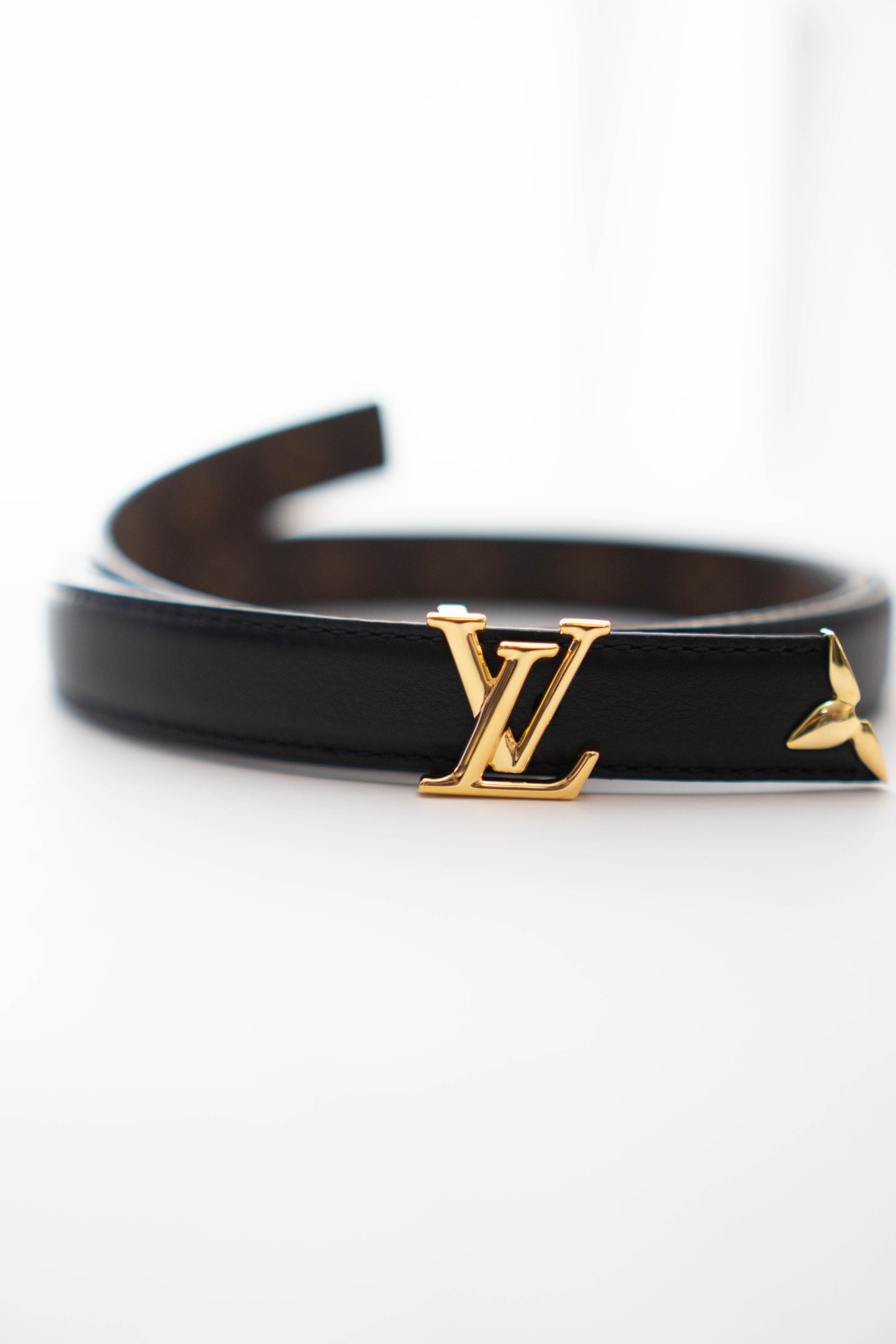 Pretty Reversible Belt