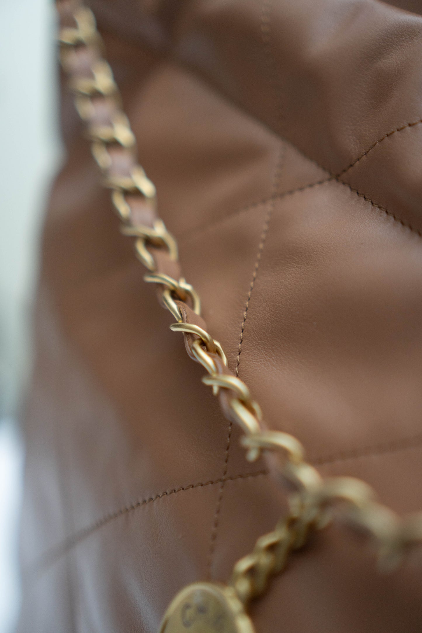 C22 in Medium Rich Caramel Calfskin with Gold Hardware