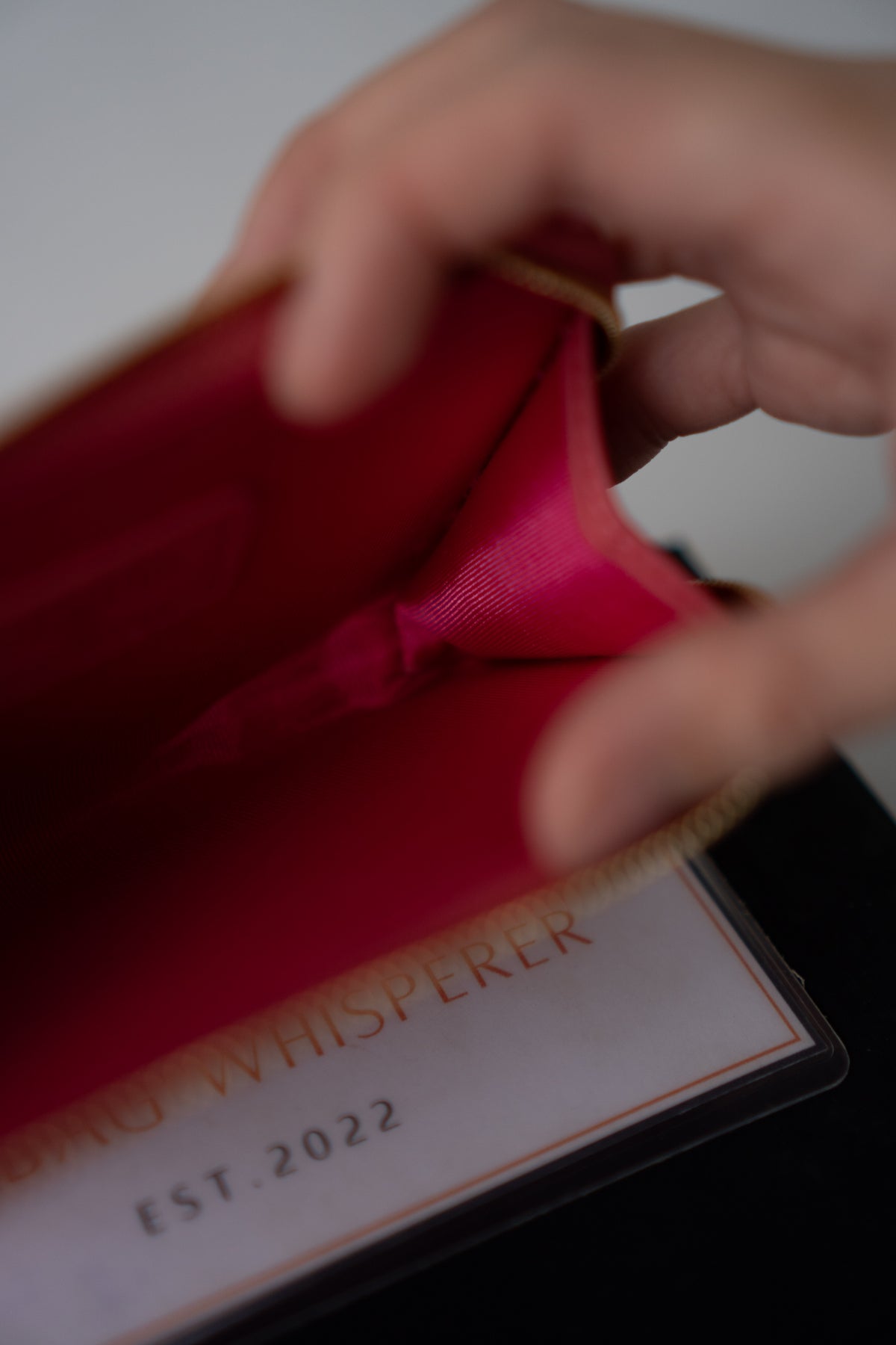 Classic Zipped Card Holder Caviar – Coral Pink