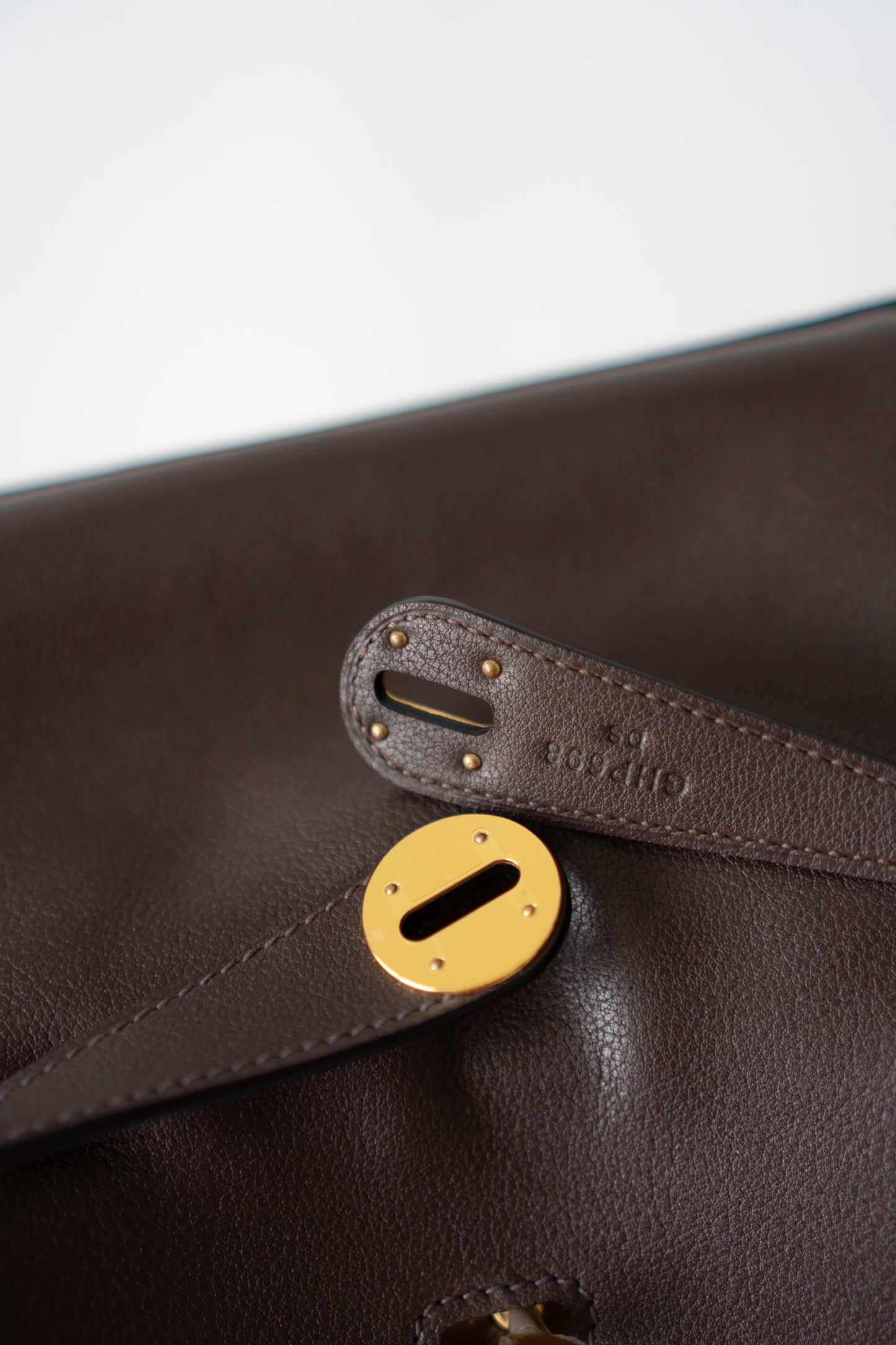 Lind 26 – Ebene Volupto Leather with Matte Croc Strap and Gold Hardware