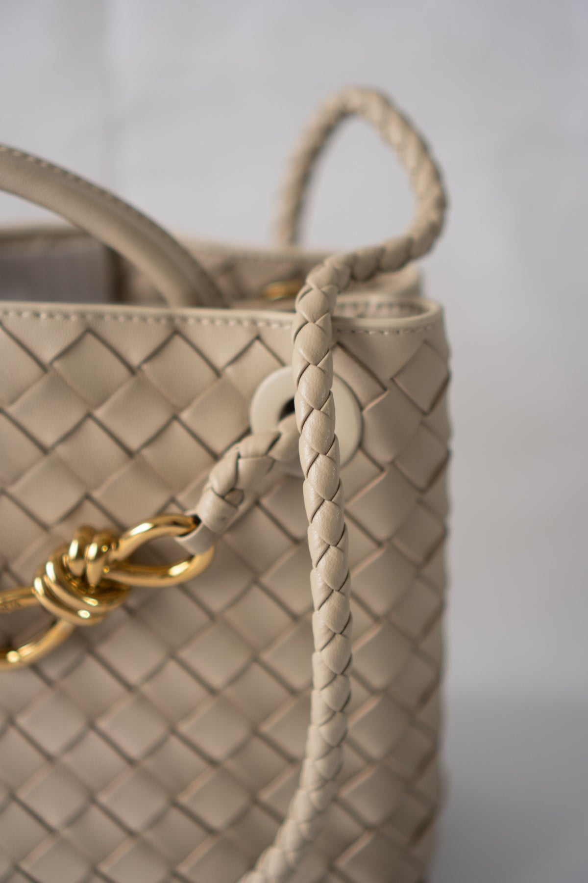 Small Andiamo (25 cm) – Intrecciato Leather & Gold Hardware