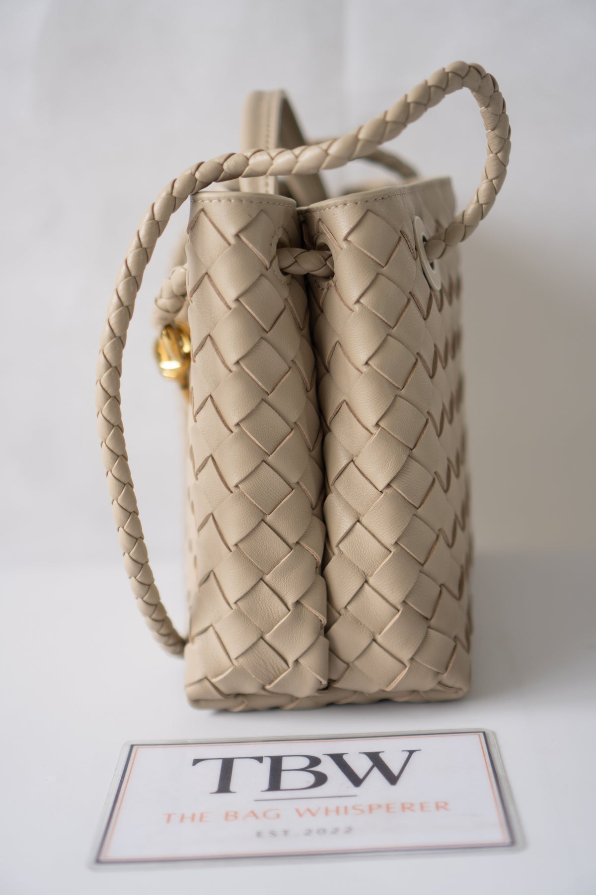 Small Andiamo (25 cm) – Intrecciato Leather & Gold Hardware