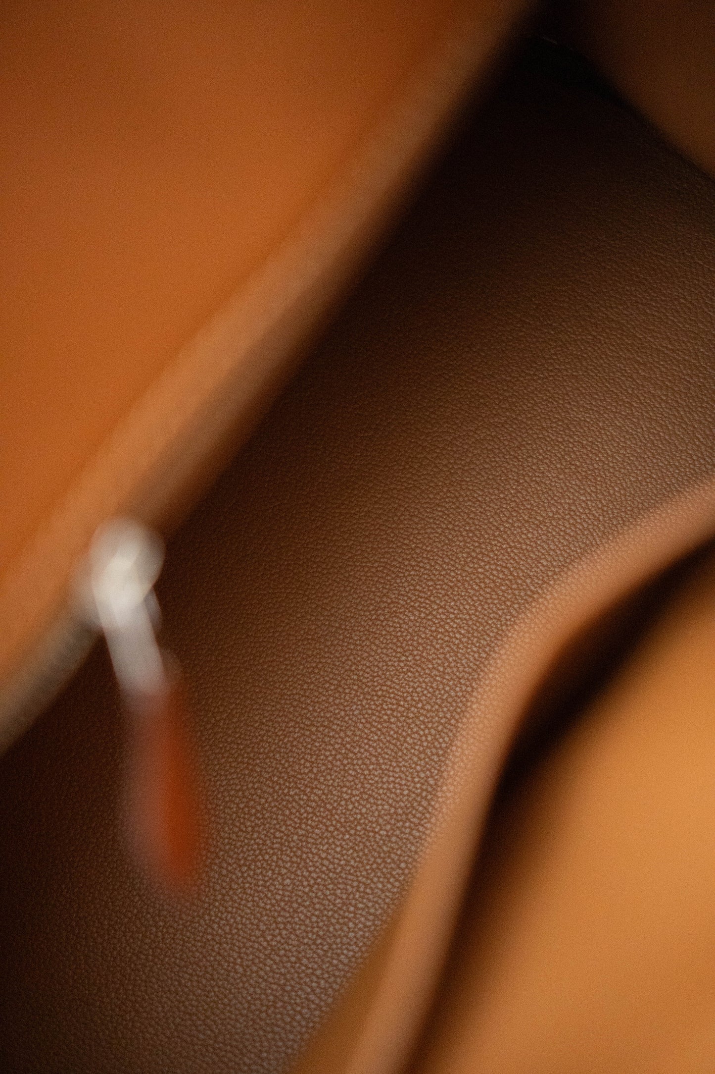 BK 25 in Gold Barenia leather and Palladium hardware