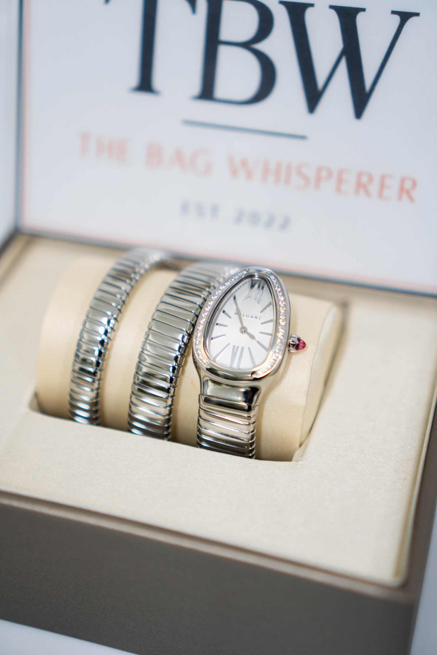 Serpenti Tubogas Watch – Double Spiral (Silver)