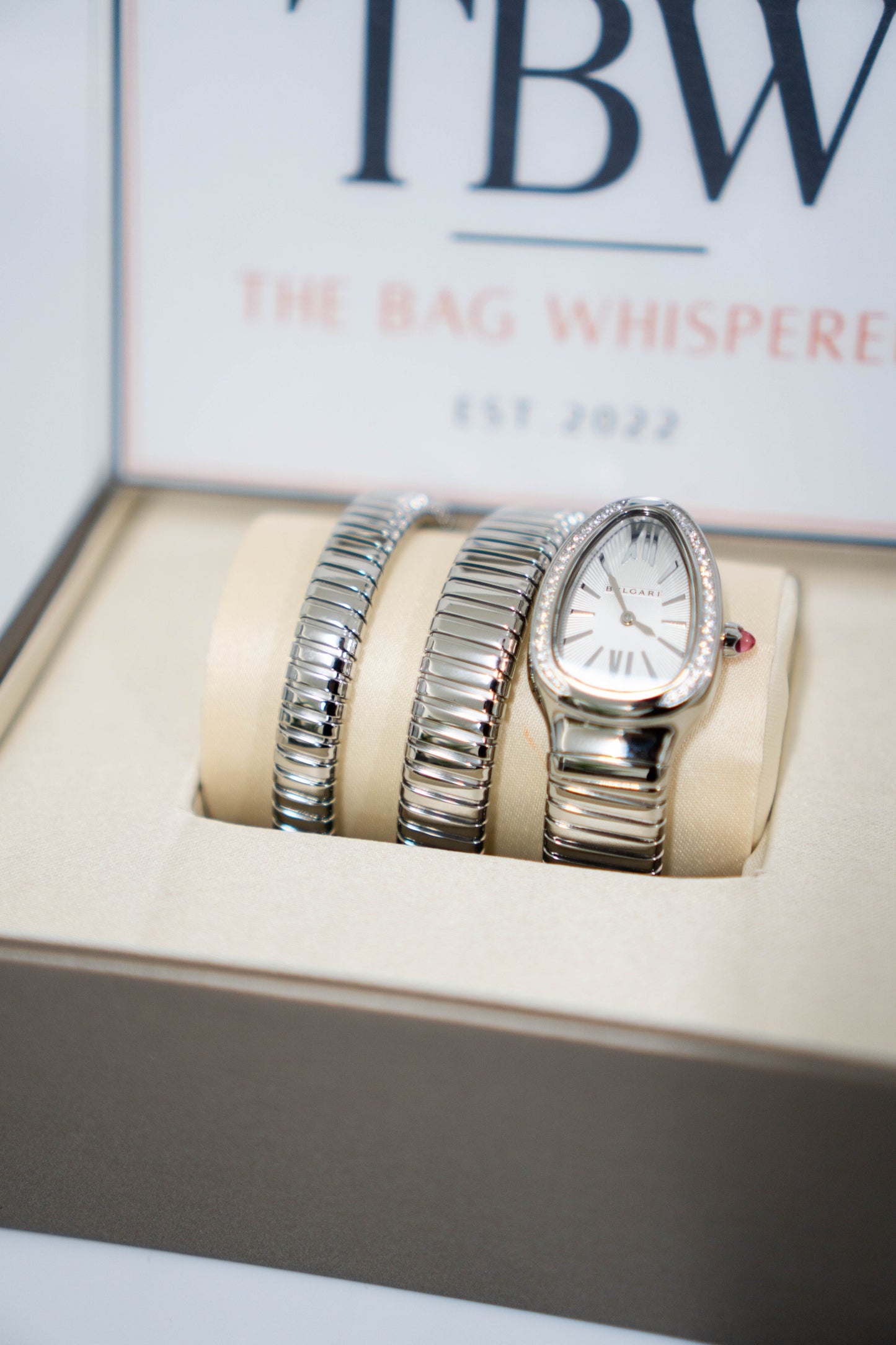 Serpenti Tubogas Watch – Double Spiral (Silver)