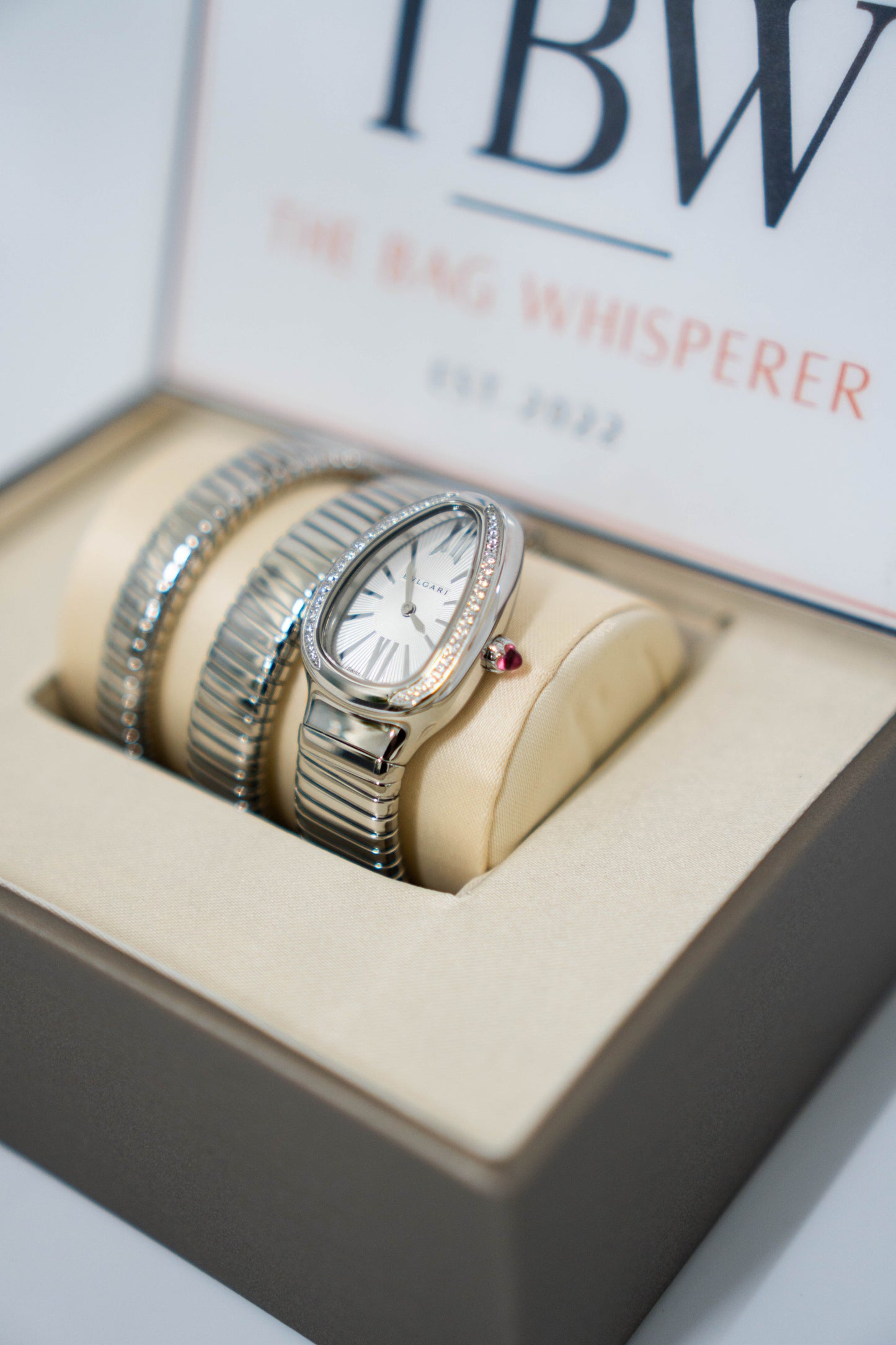 Serpenti Tubogas Watch – Double Spiral (Silver)
