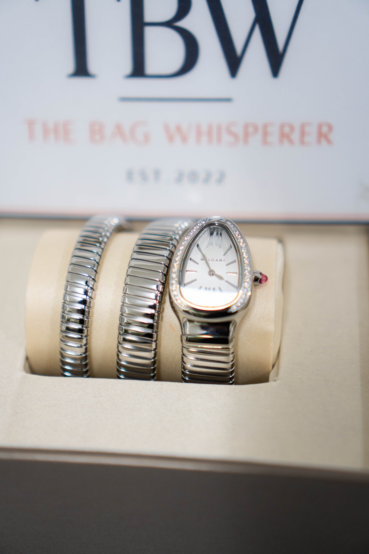 Serpenti Tubogas Watch – Double Spiral (Silver)