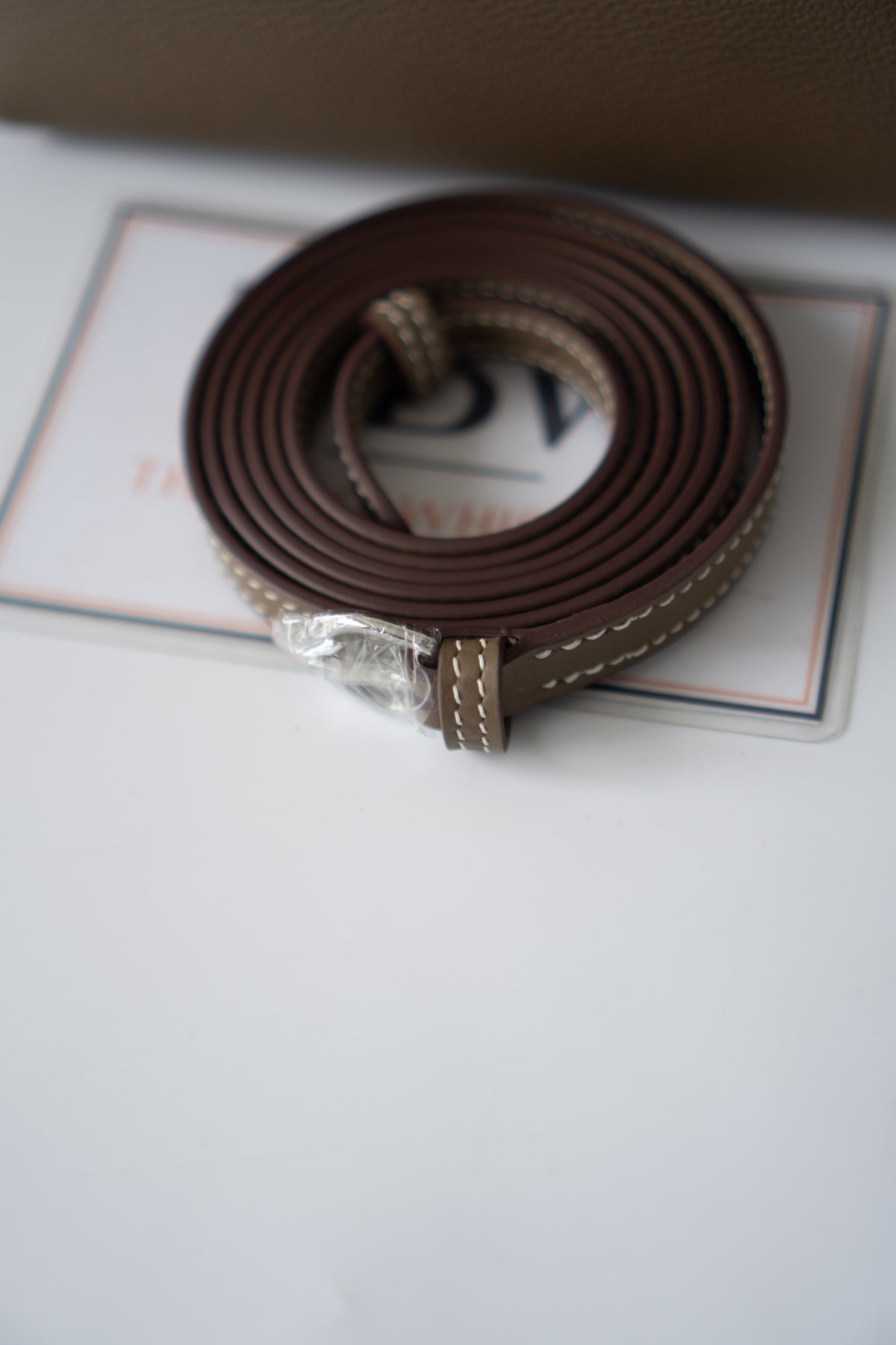 Mini 24/24 – Étoupe Leather with Palladium Hardware