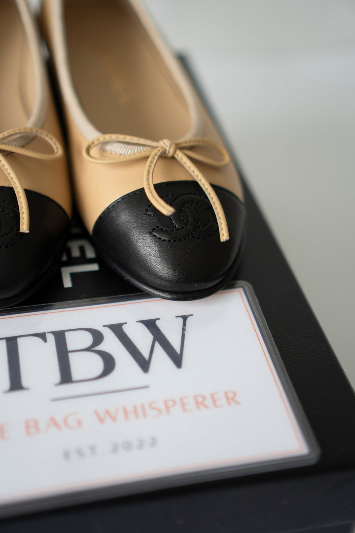 Ballet Flats – Beige & Black Lambskin