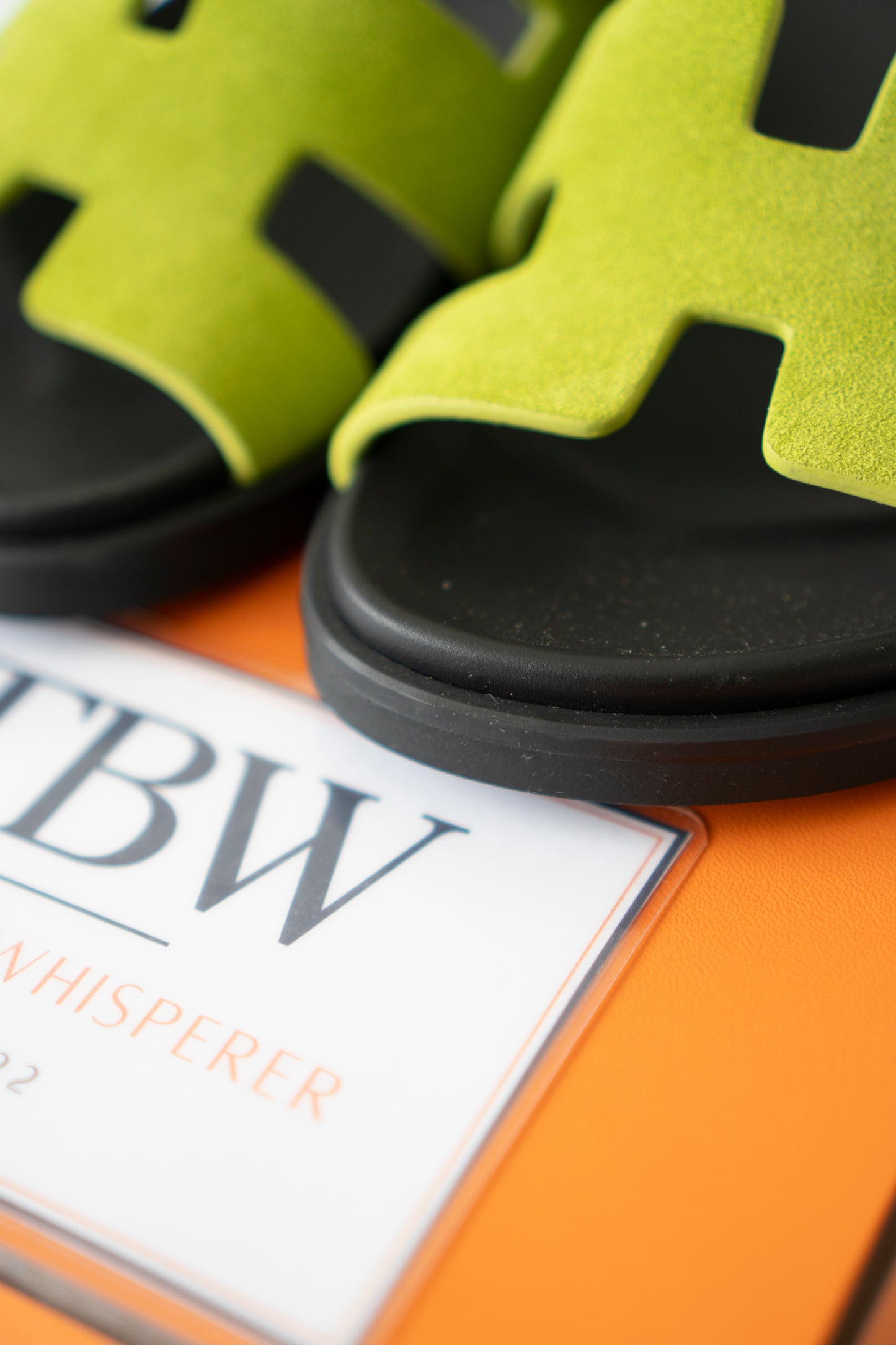 Chypre Sandals – Green Suede
