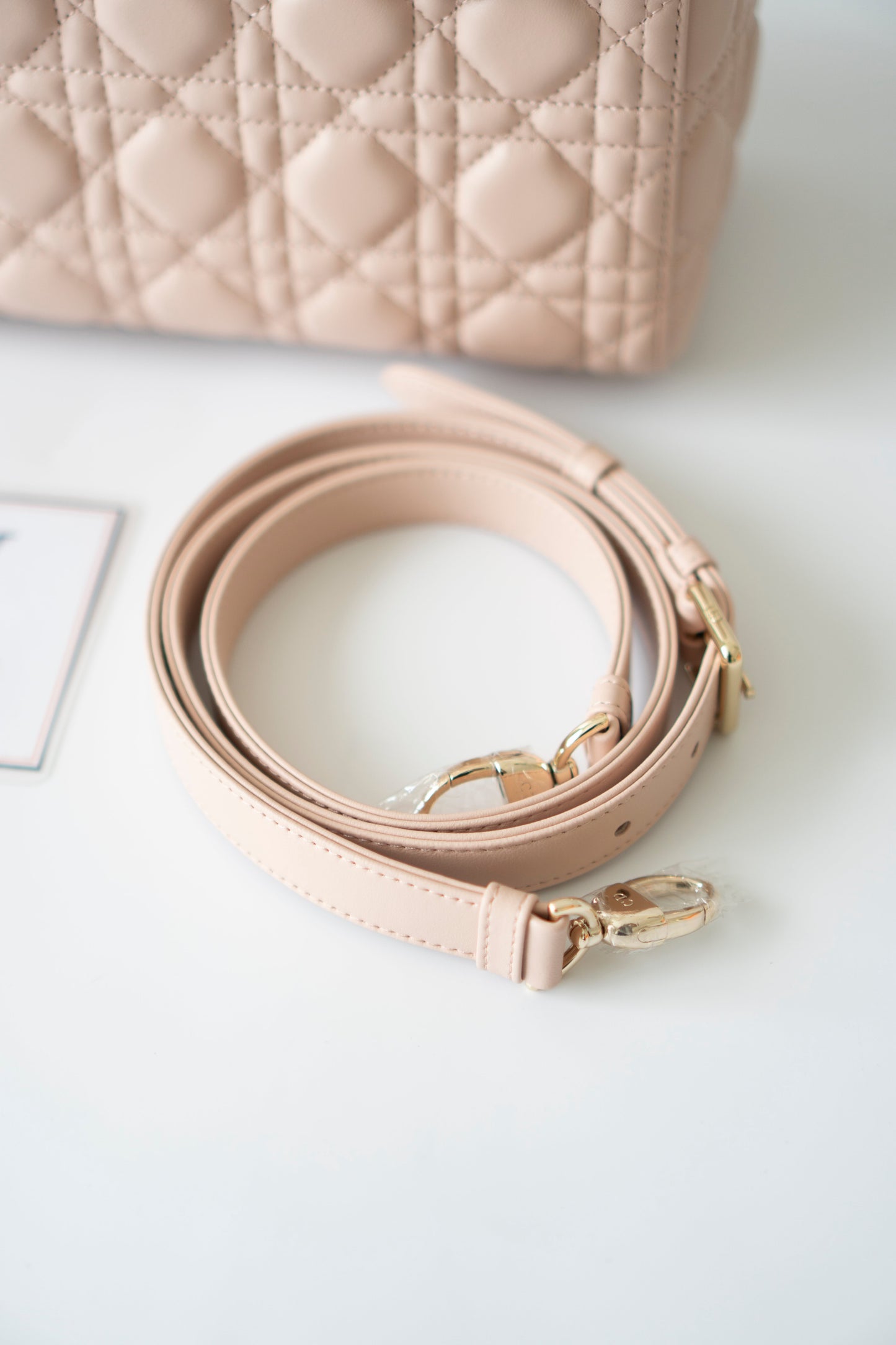 Lady D Medium – Powder Pink Lambskin with Light Gold Hardware