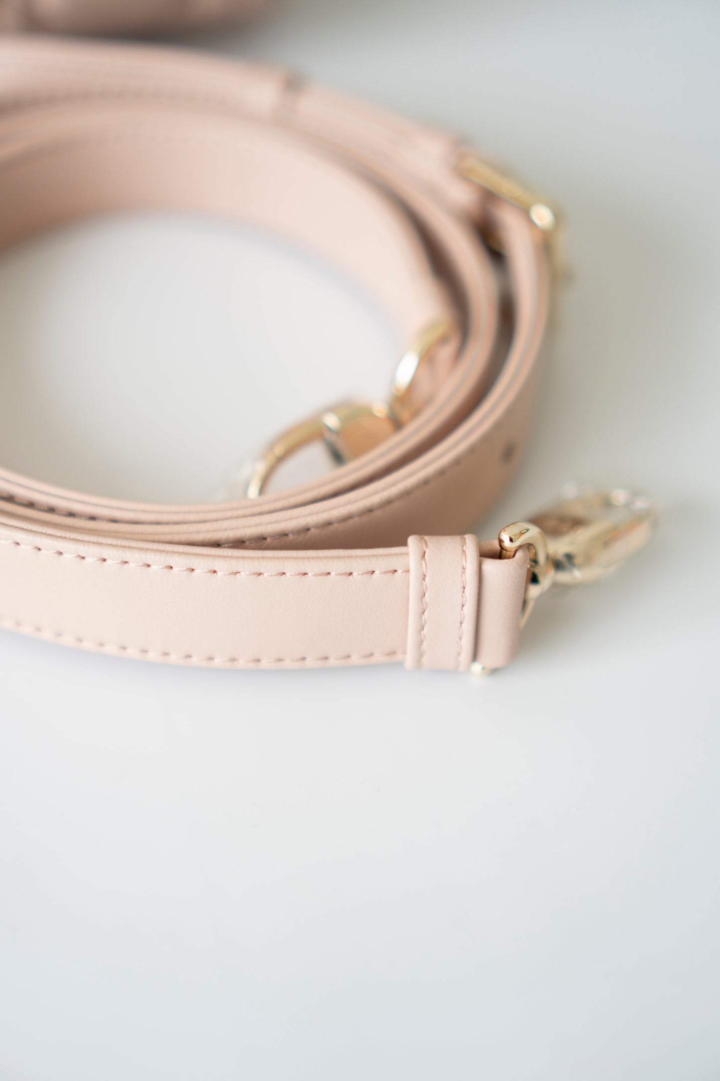 Lady D Medium – Powder Pink Lambskin with Light Gold Hardware