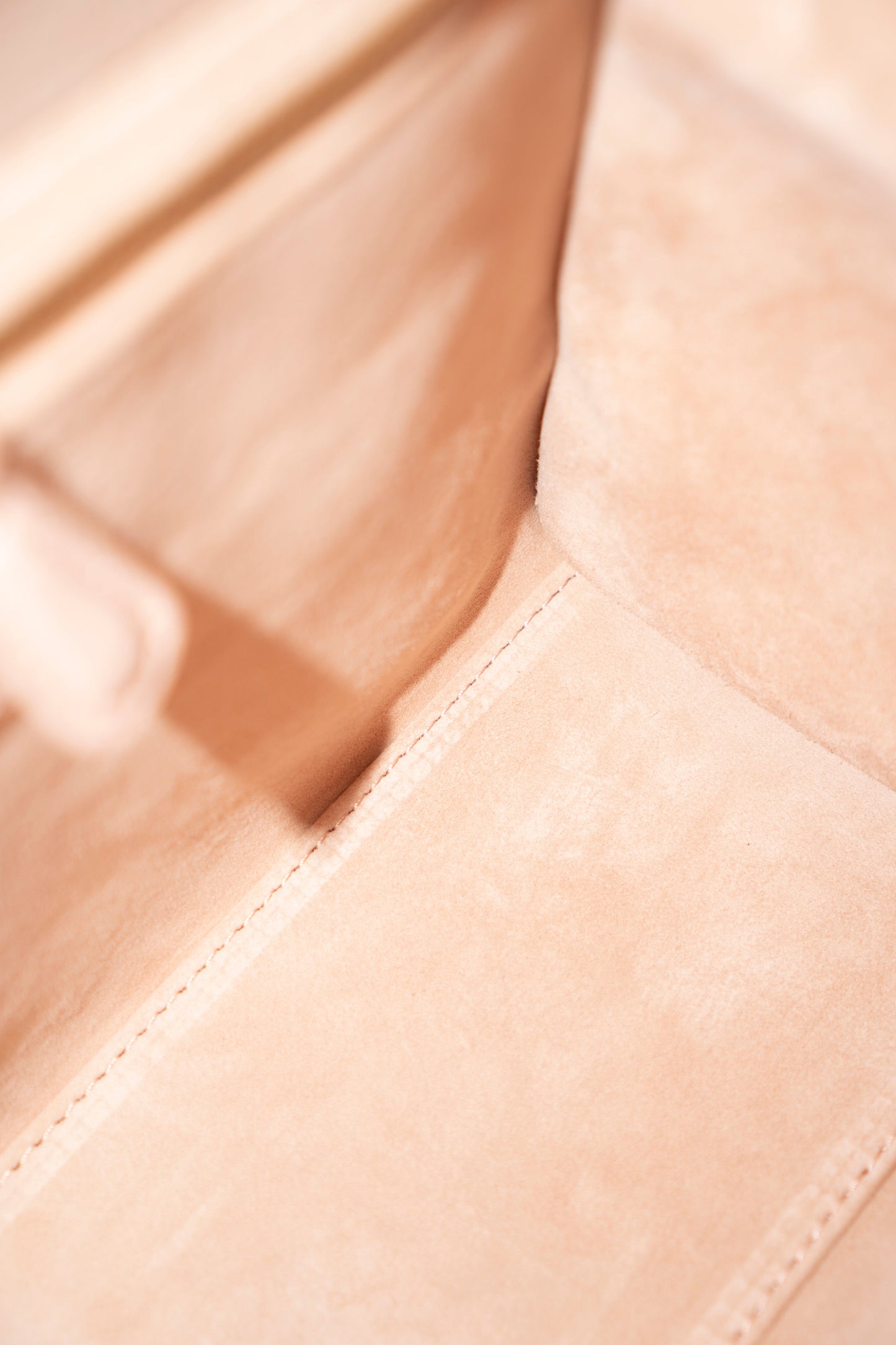 Lady D Medium – Powder Pink Lambskin with Light Gold Hardware
