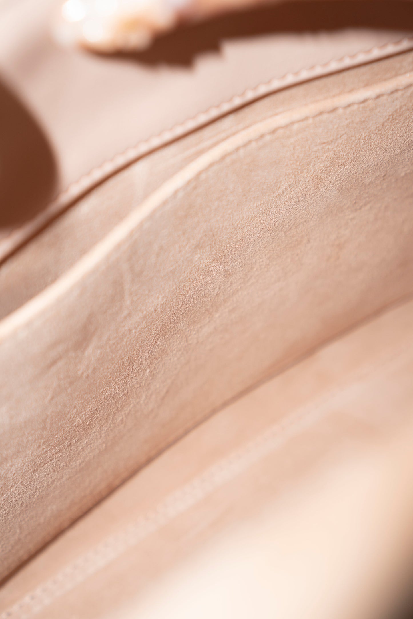 Lady D Medium – Powder Pink Lambskin with Light Gold Hardware