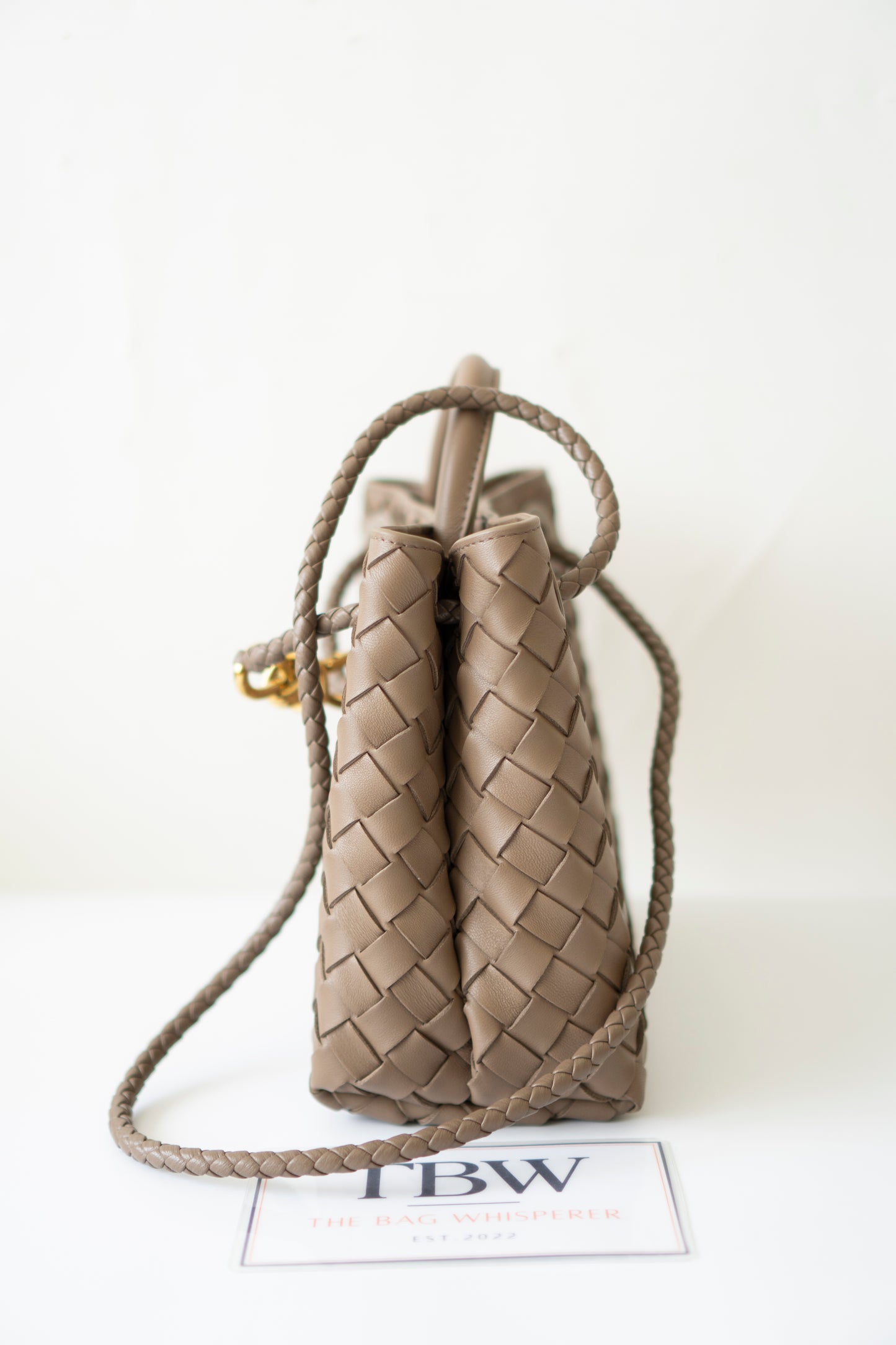 Small Andiamo – Taupe with Gold Hardware