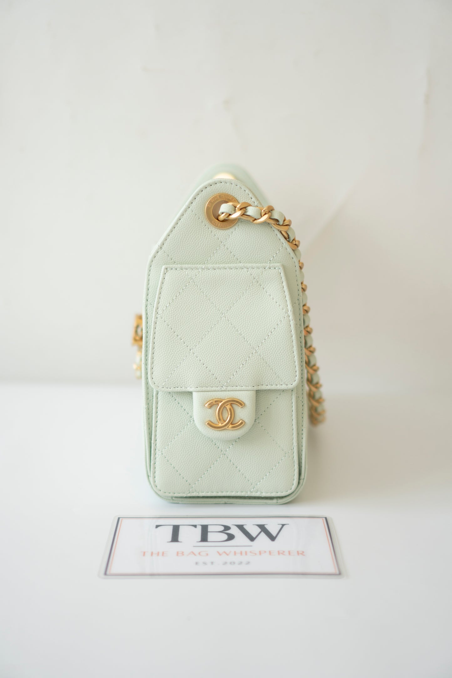 C 25 Mini Handbag – Mint Green Caviar Leather