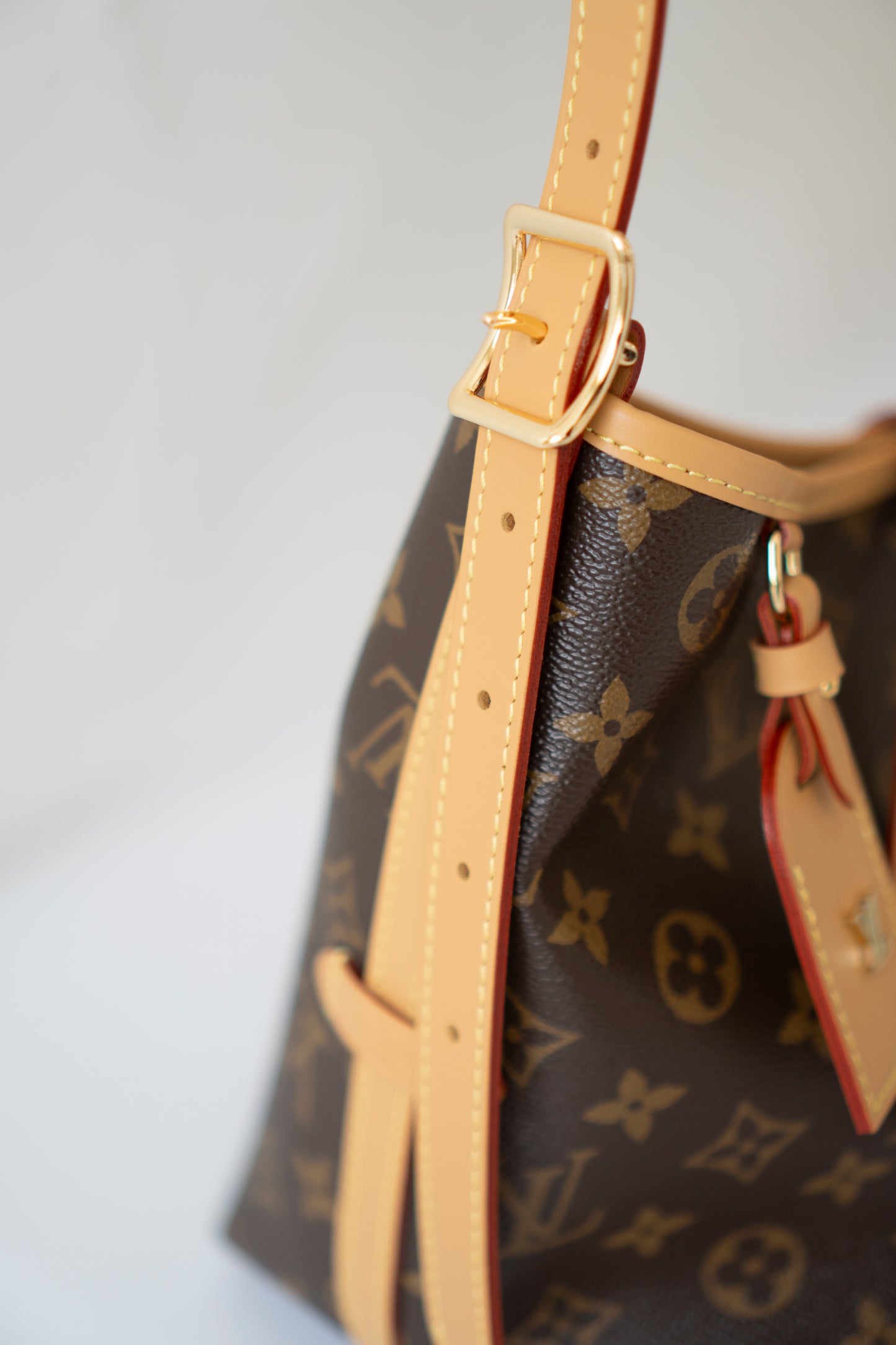 Carryall PM – Monogram Canvas