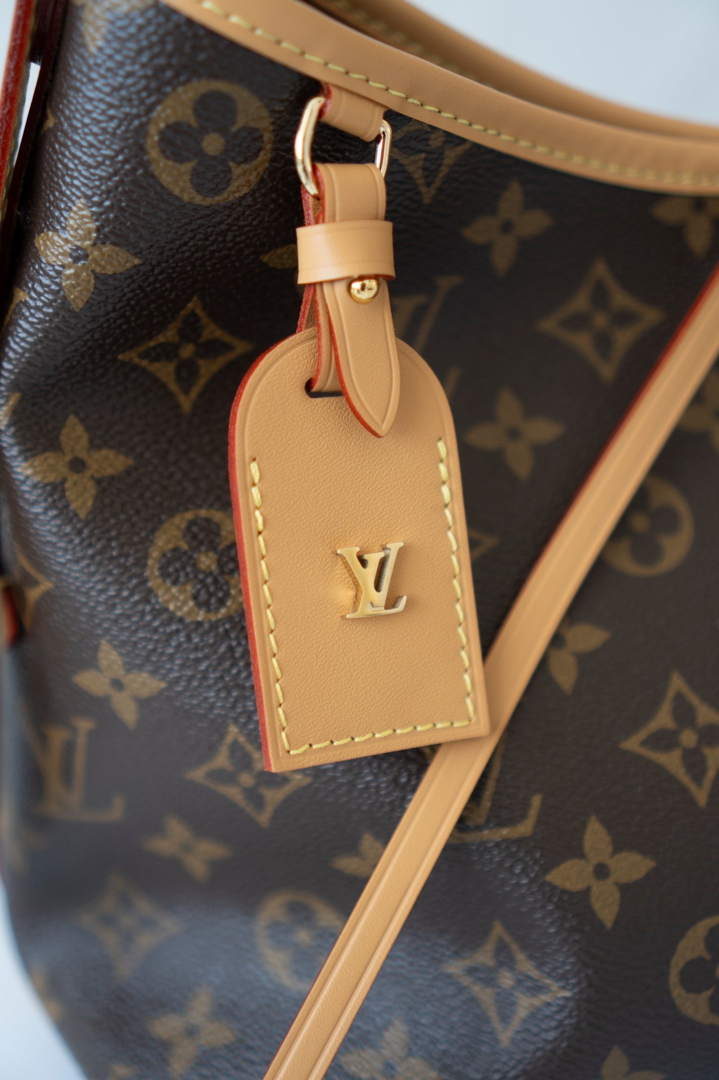 Carryall PM – Monogram Canvas