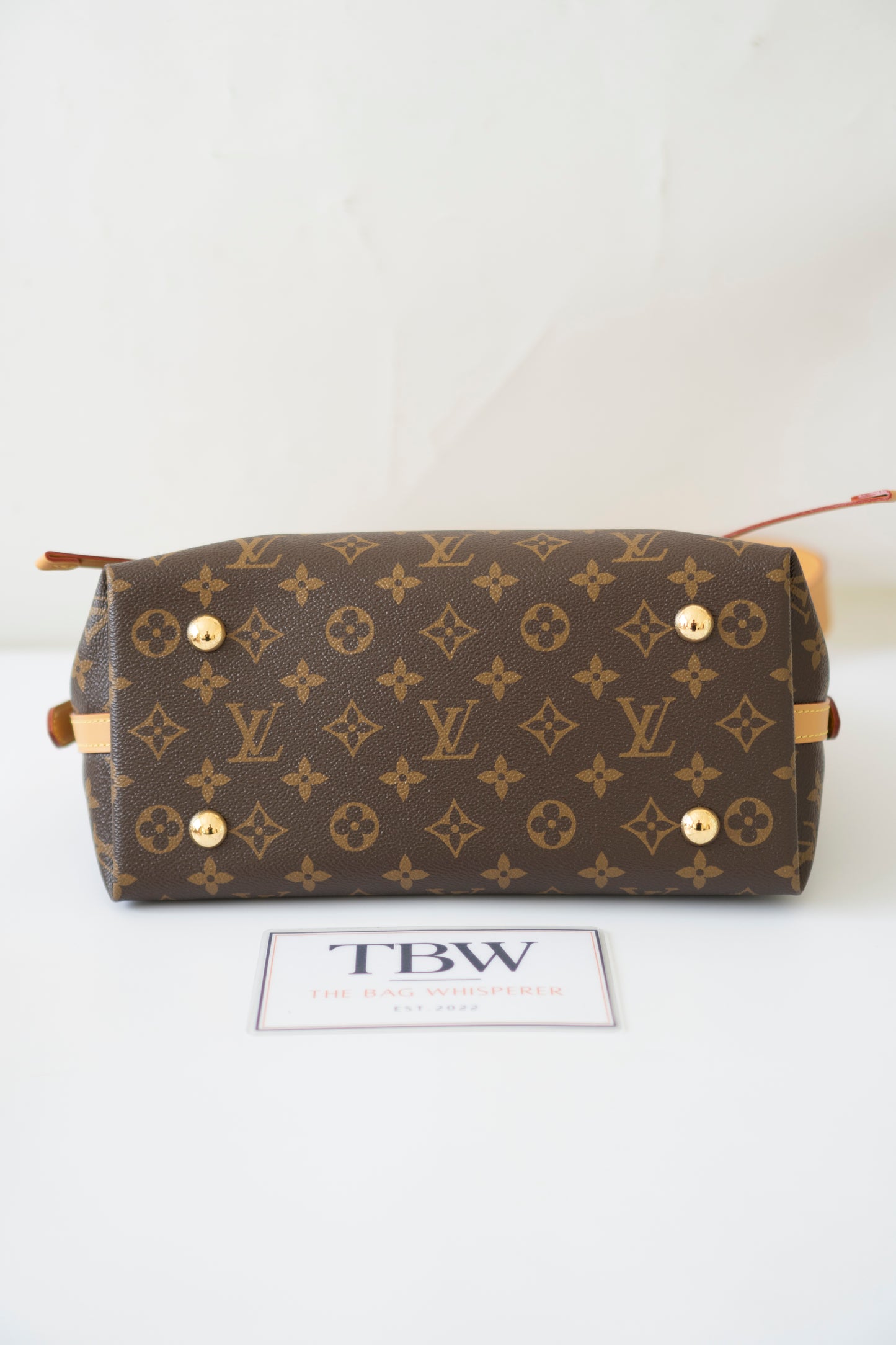 Carryall PM – Monogram Canvas
