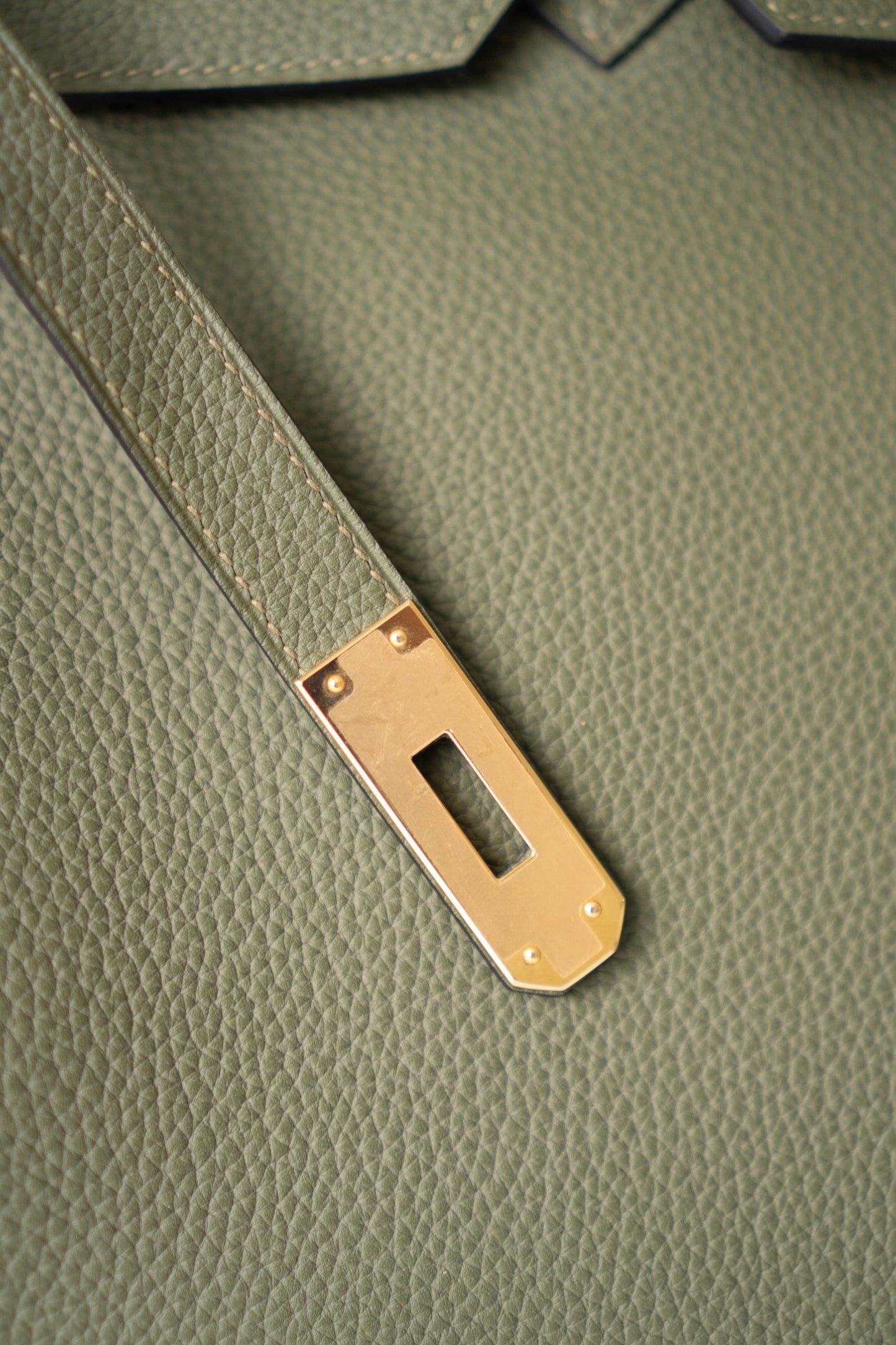 BK 40 in Canopee with Gold Hardware