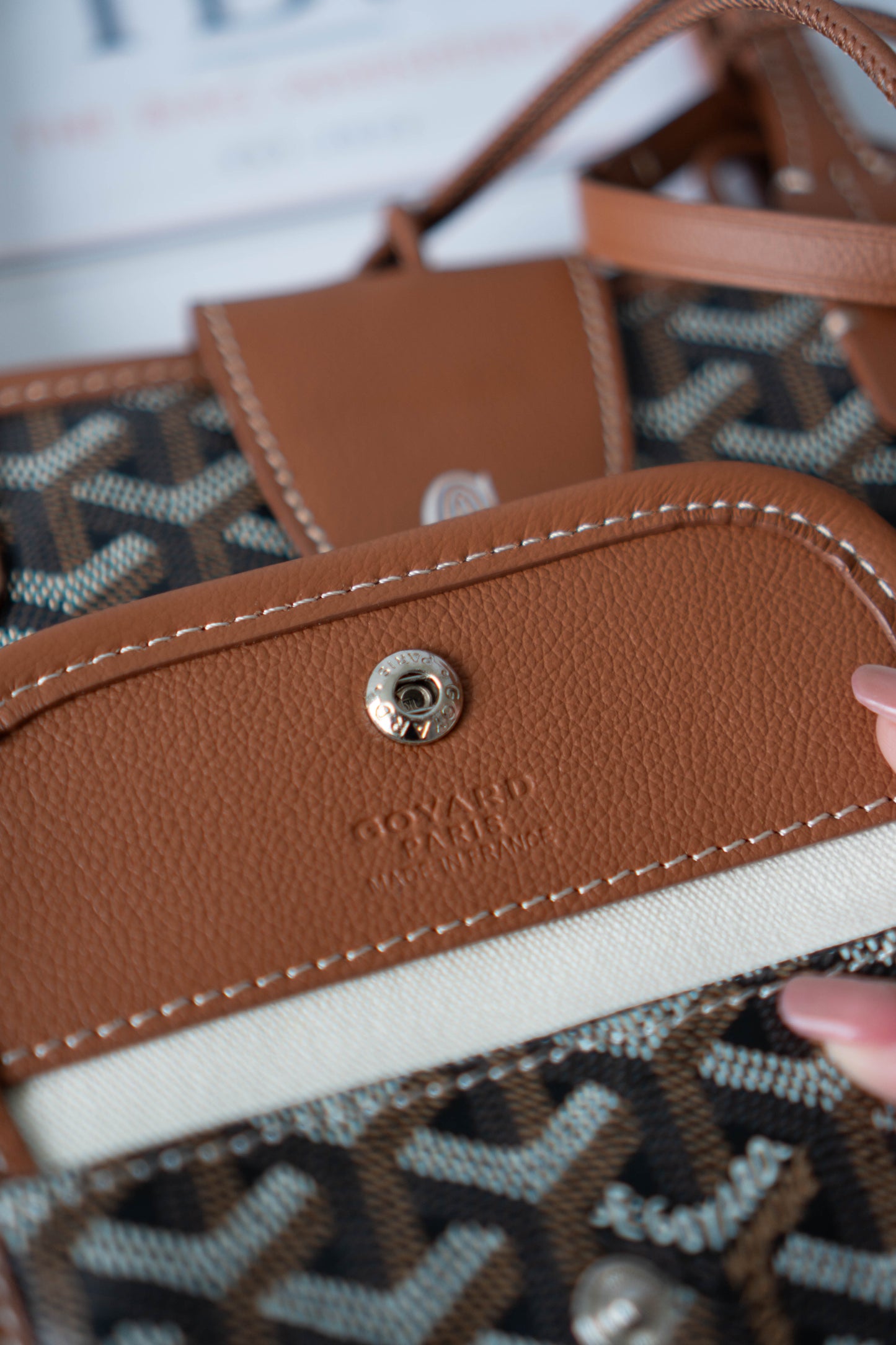 Mini Anjou – Black & Tan Goyrdine Canvas