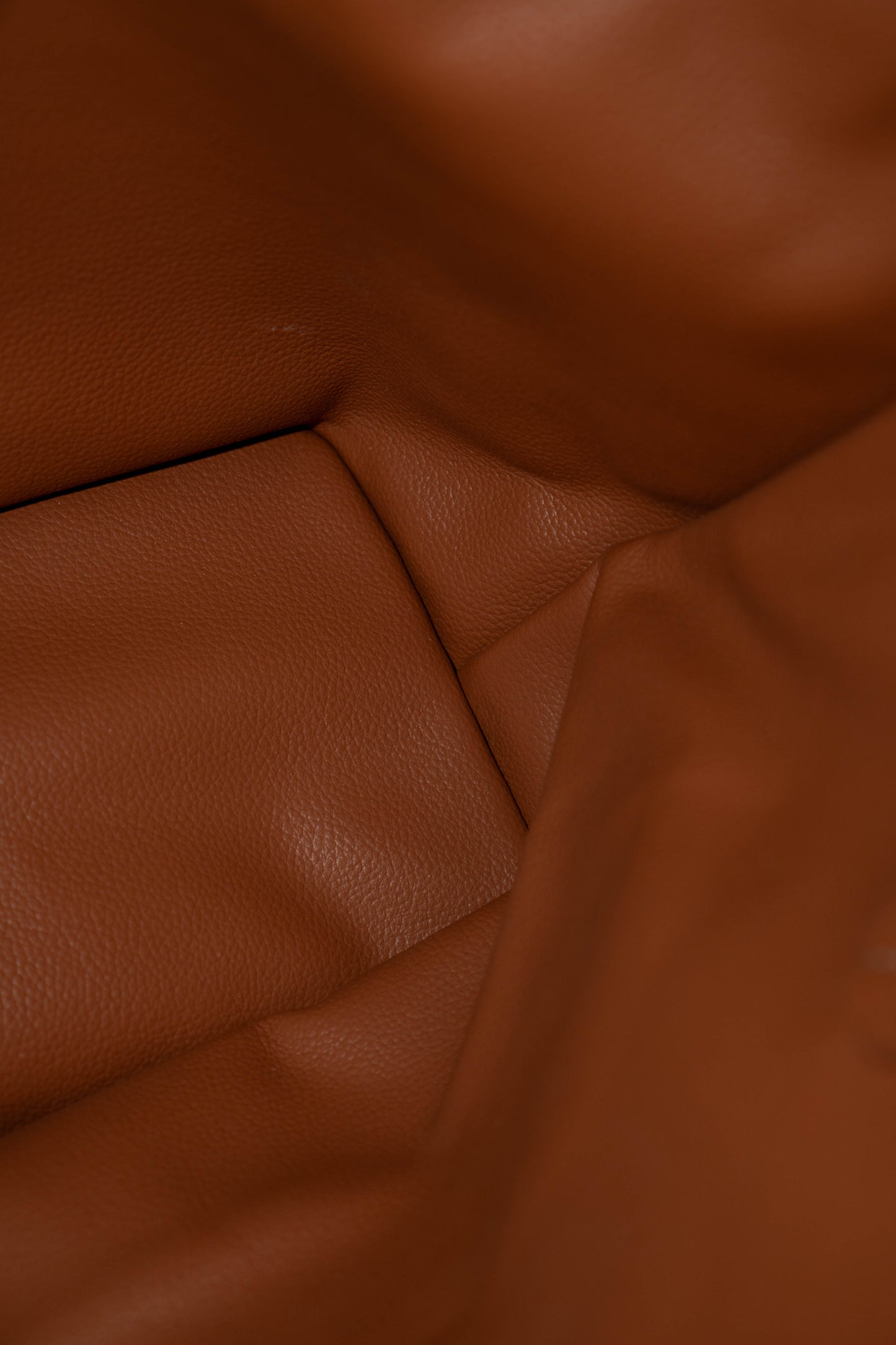 Mini Anjou – Black & Tan Goyrdine Canvas