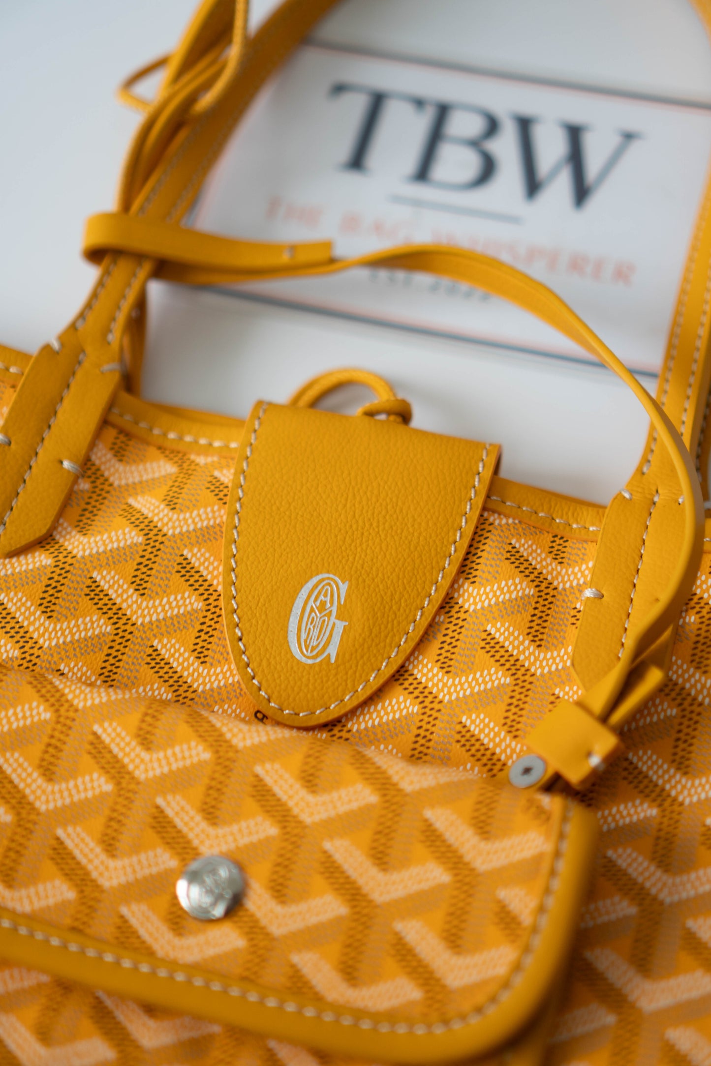 Mini Anjou – Yellow Goyrdine Canvas