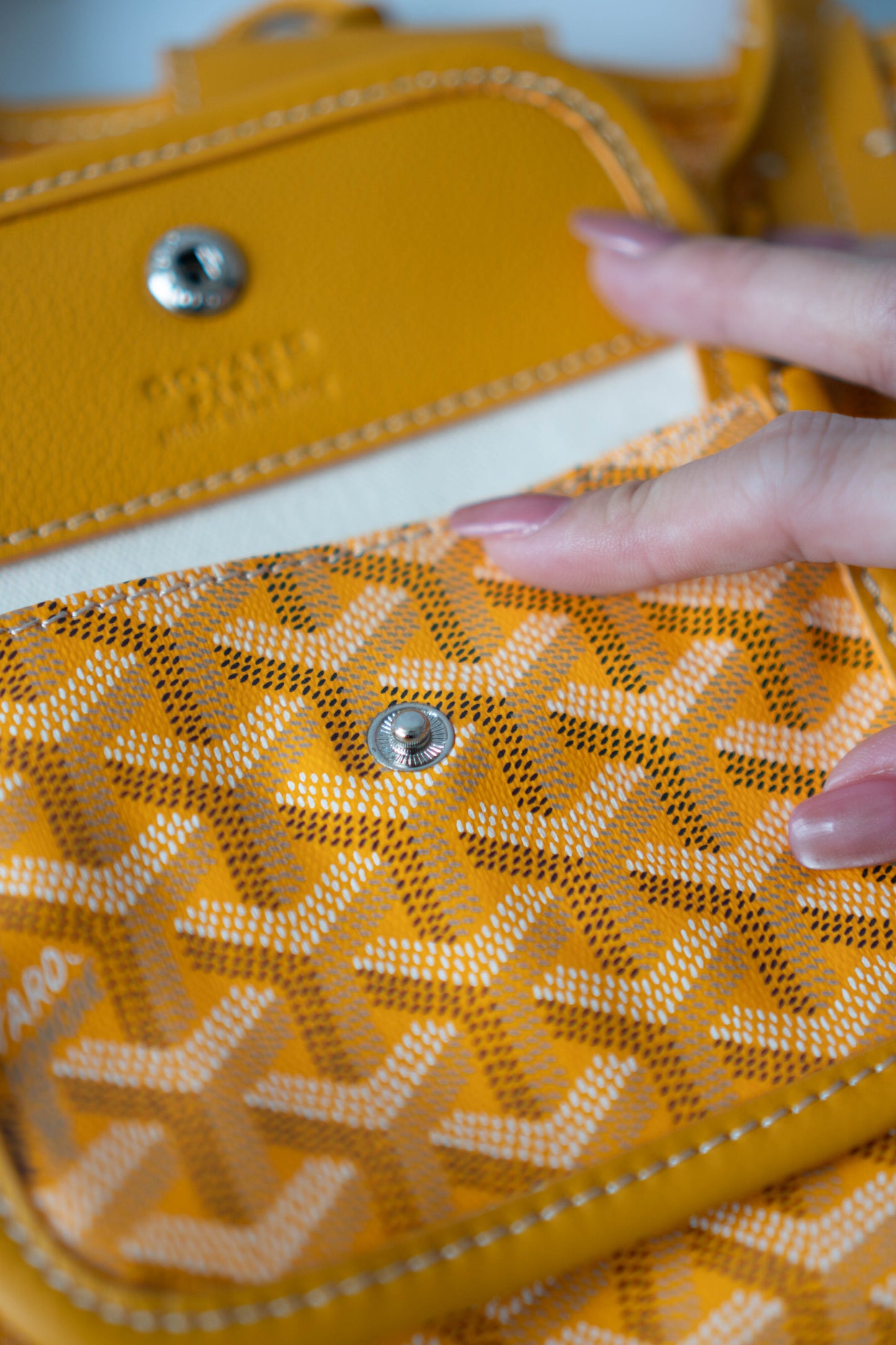 Mini Anjou – Yellow Goyrdine Canvas