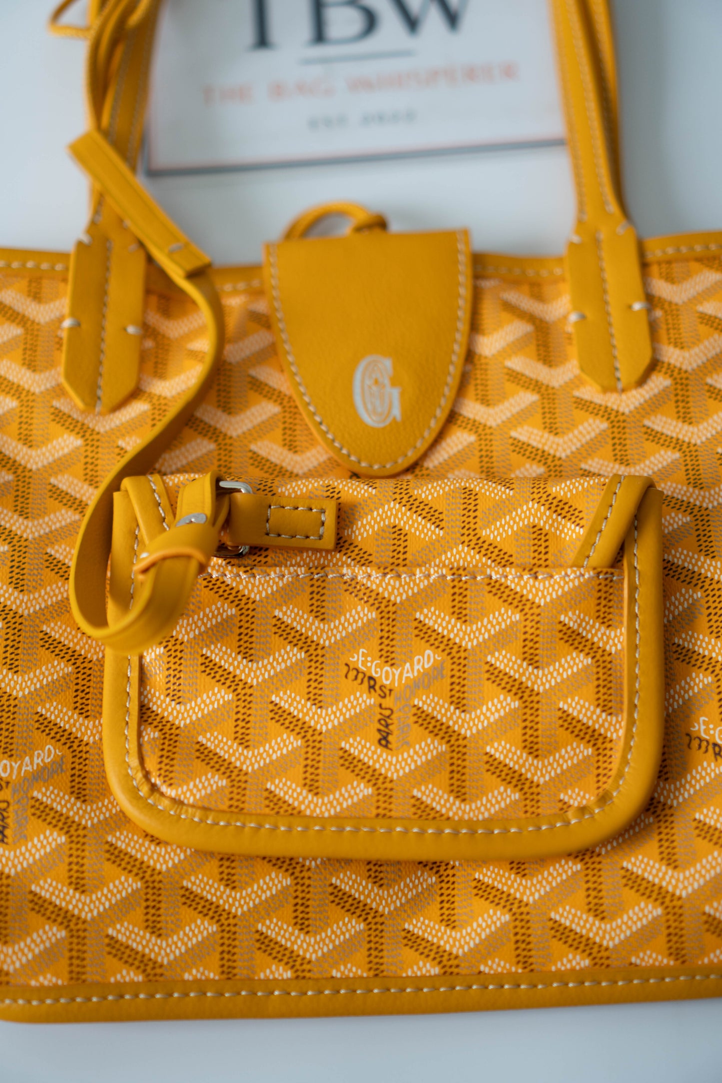 Mini Anjou – Yellow Goyrdine Canvas