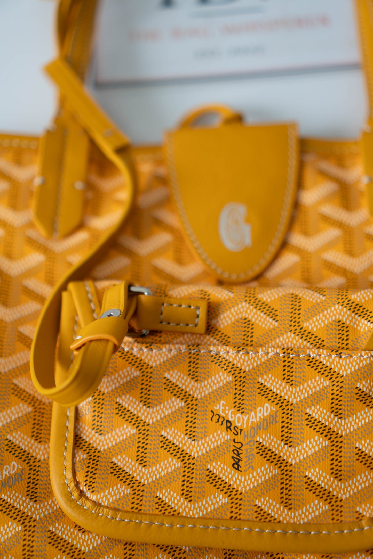 Mini Anjou – Yellow Goyrdine Canvas