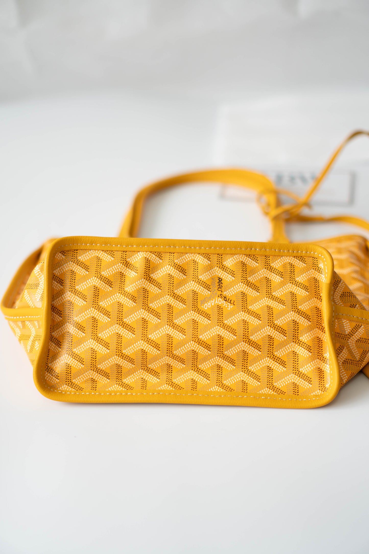 Mini Anjou – Yellow Goyrdine Canvas