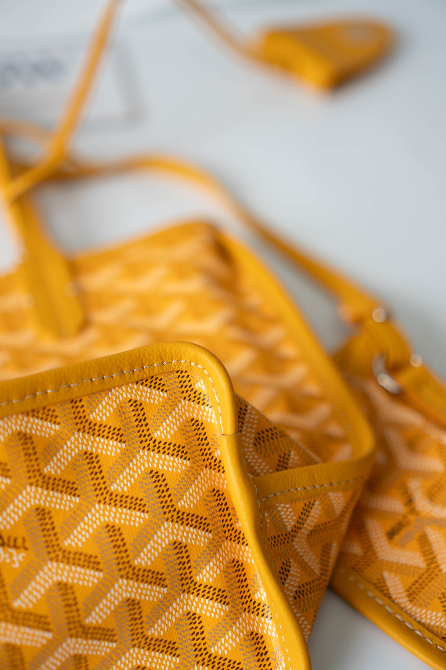 Mini Anjou – Yellow Goyrdine Canvas