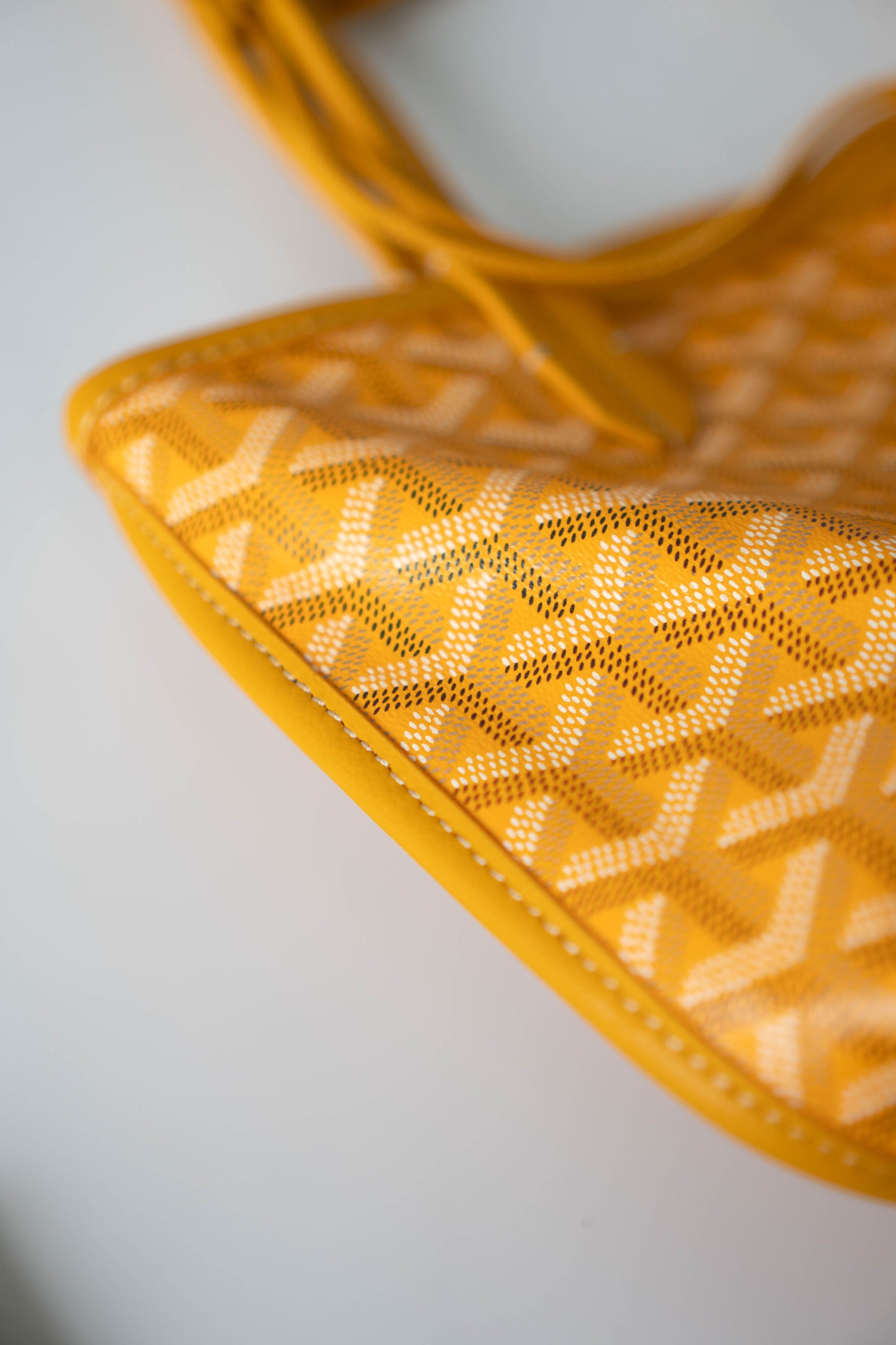 Mini Anjou – Yellow Goyrdine Canvas