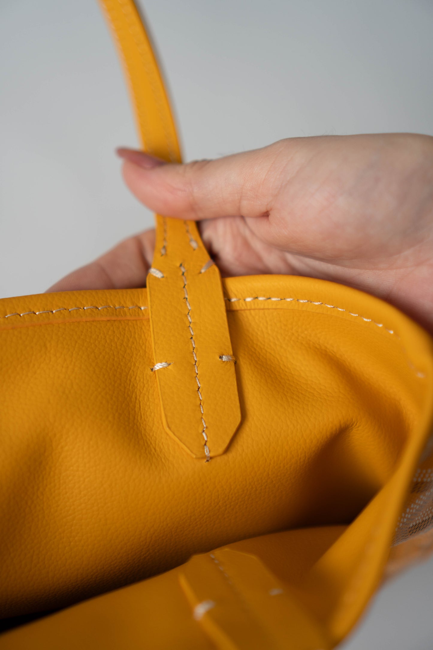 Mini Anjou – Yellow Goyrdine Canvas