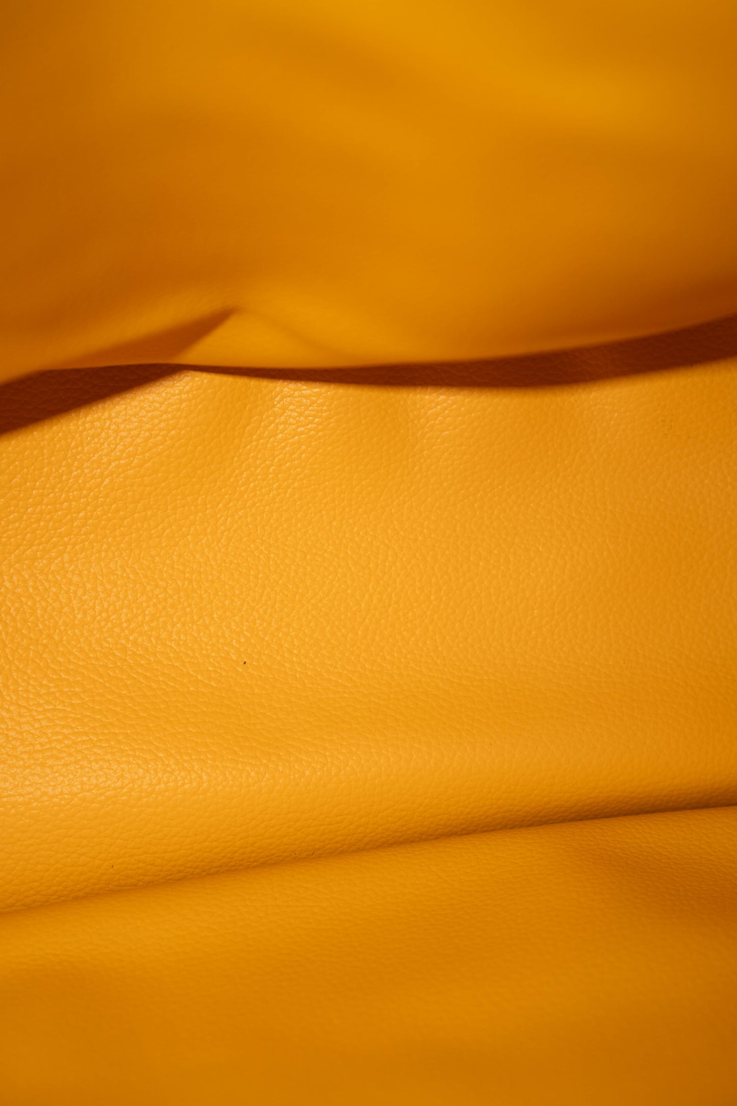Mini Anjou – Yellow Goyrdine Canvas