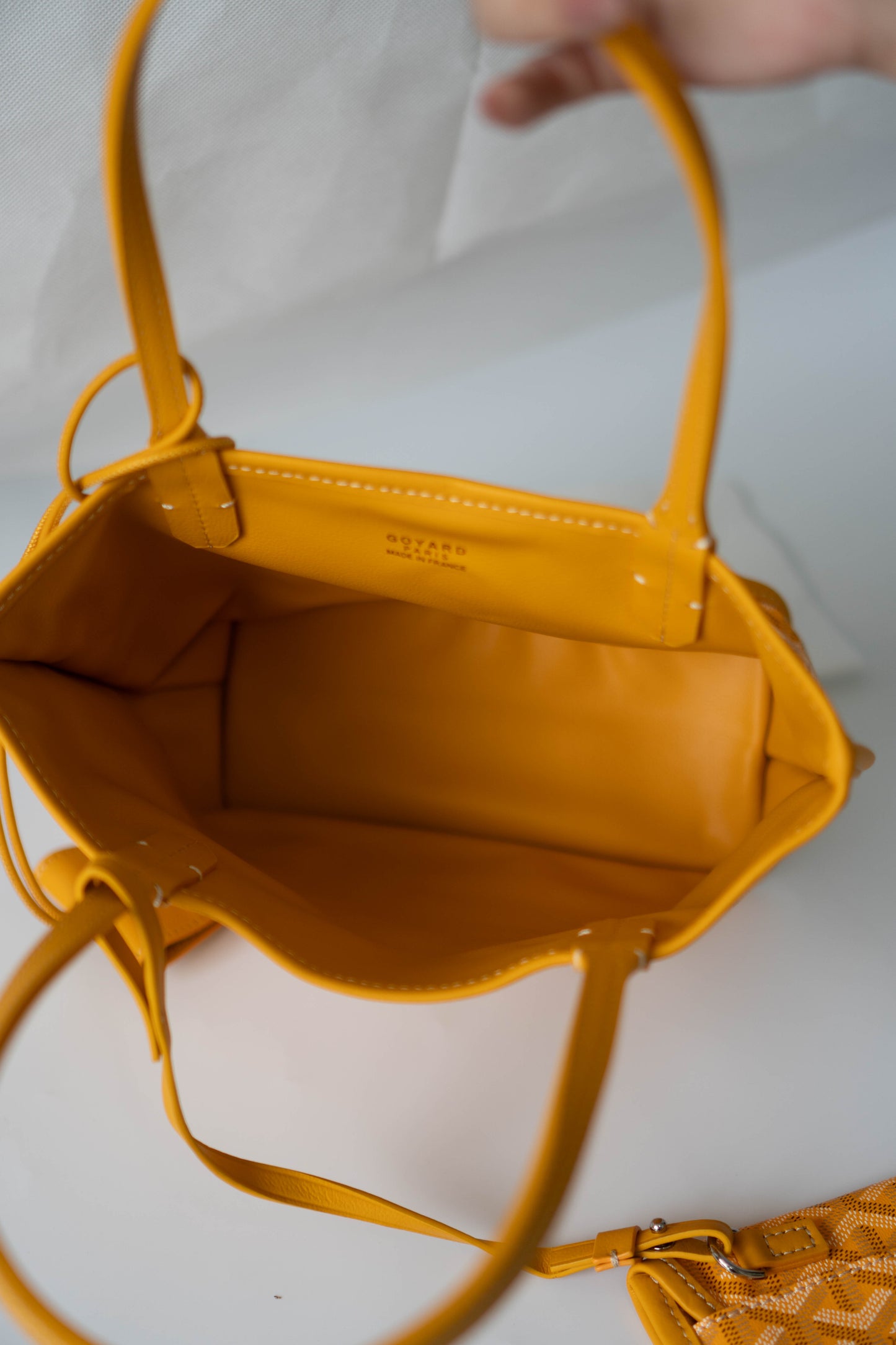 Mini Anjou – Yellow Goyrdine Canvas