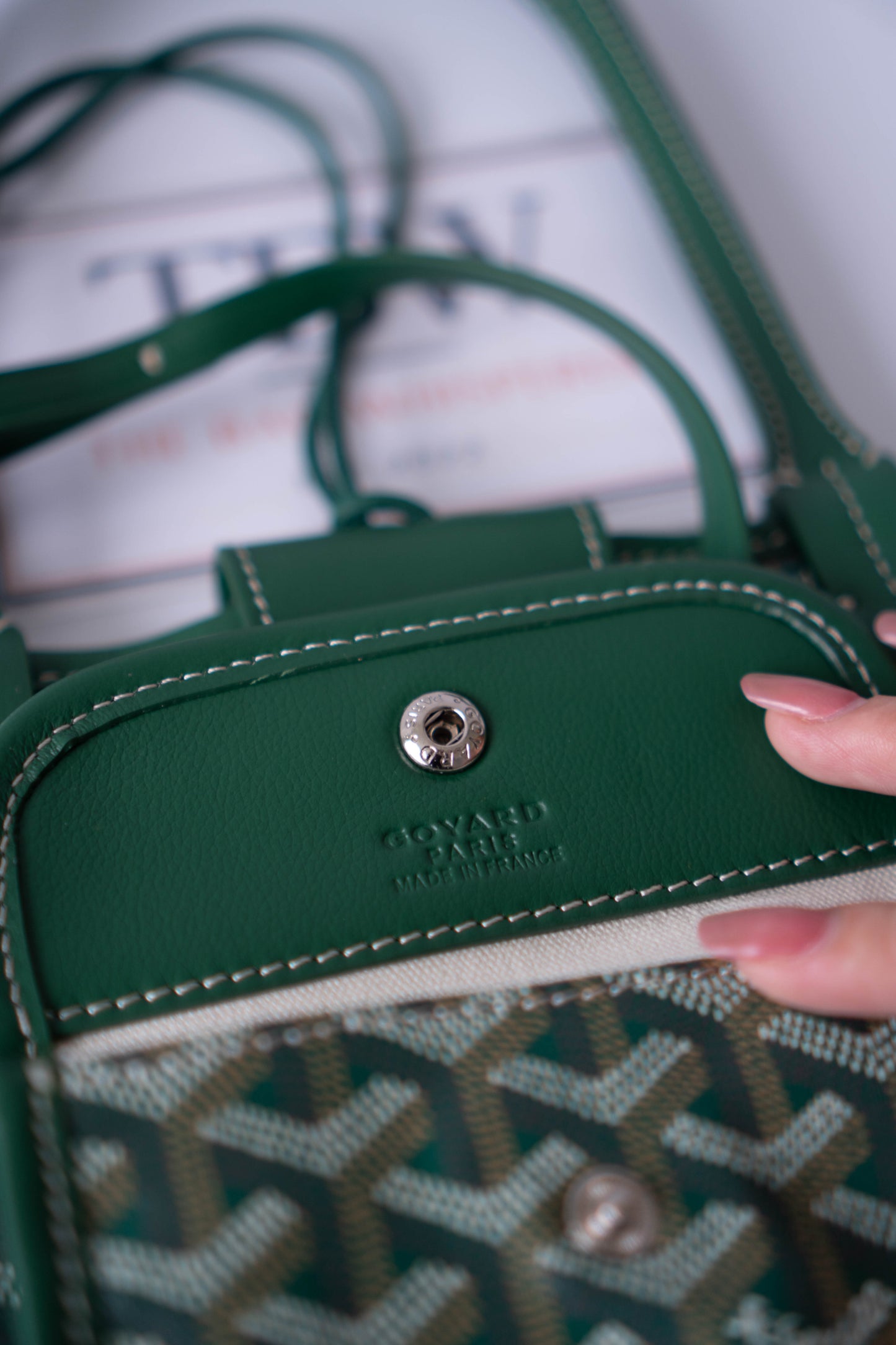 Mini Anjou – Green Goyrdine Canvas