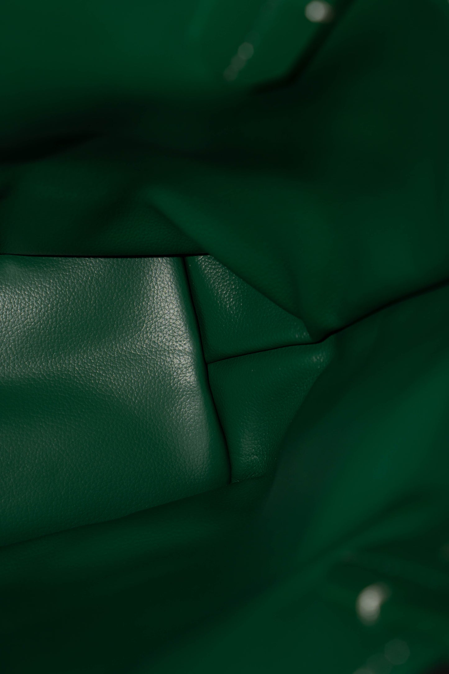 Mini Anjou – Green Goyrdine Canvas