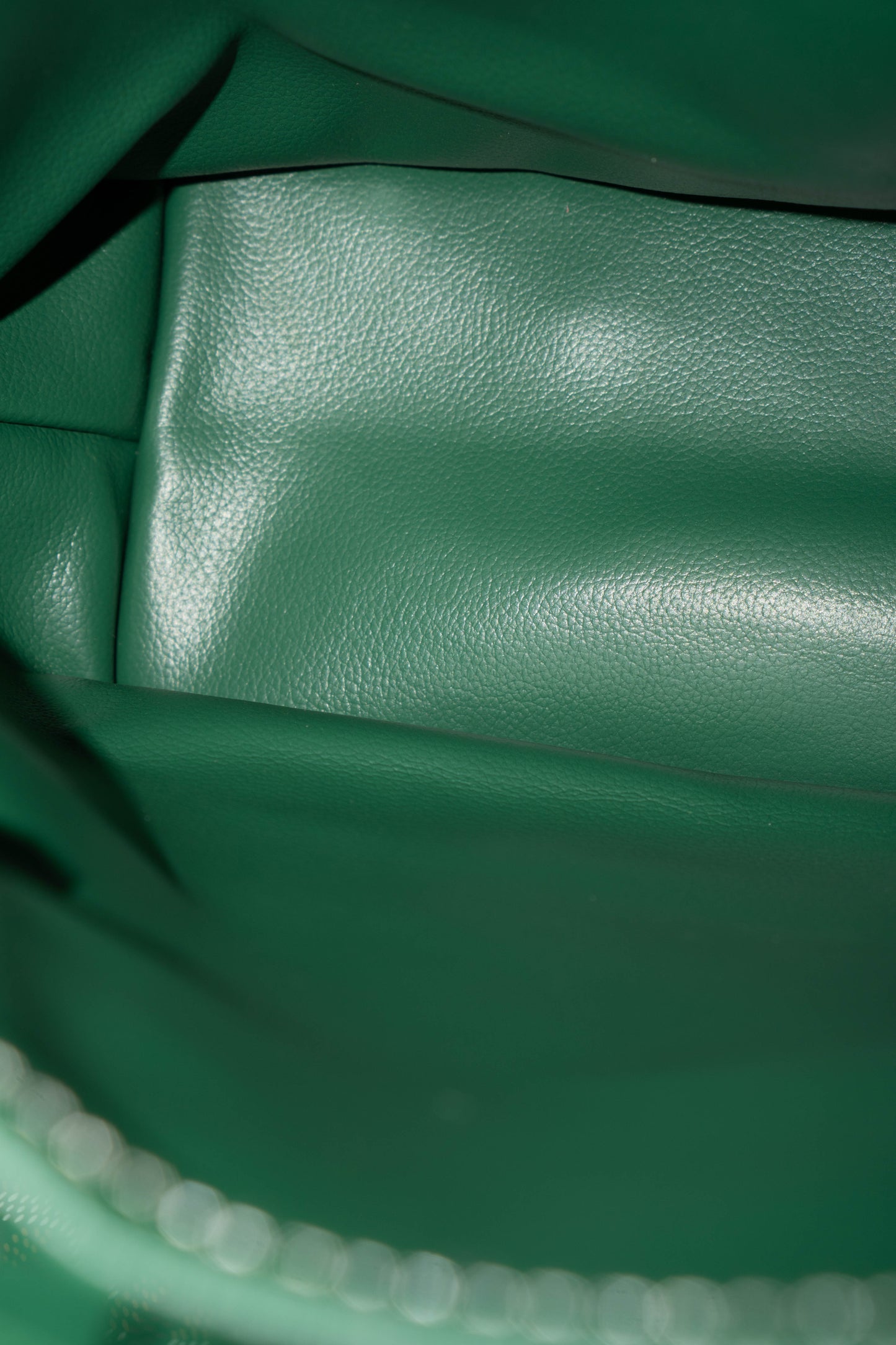 Mini Anjou – Green Goyrdine Canvas